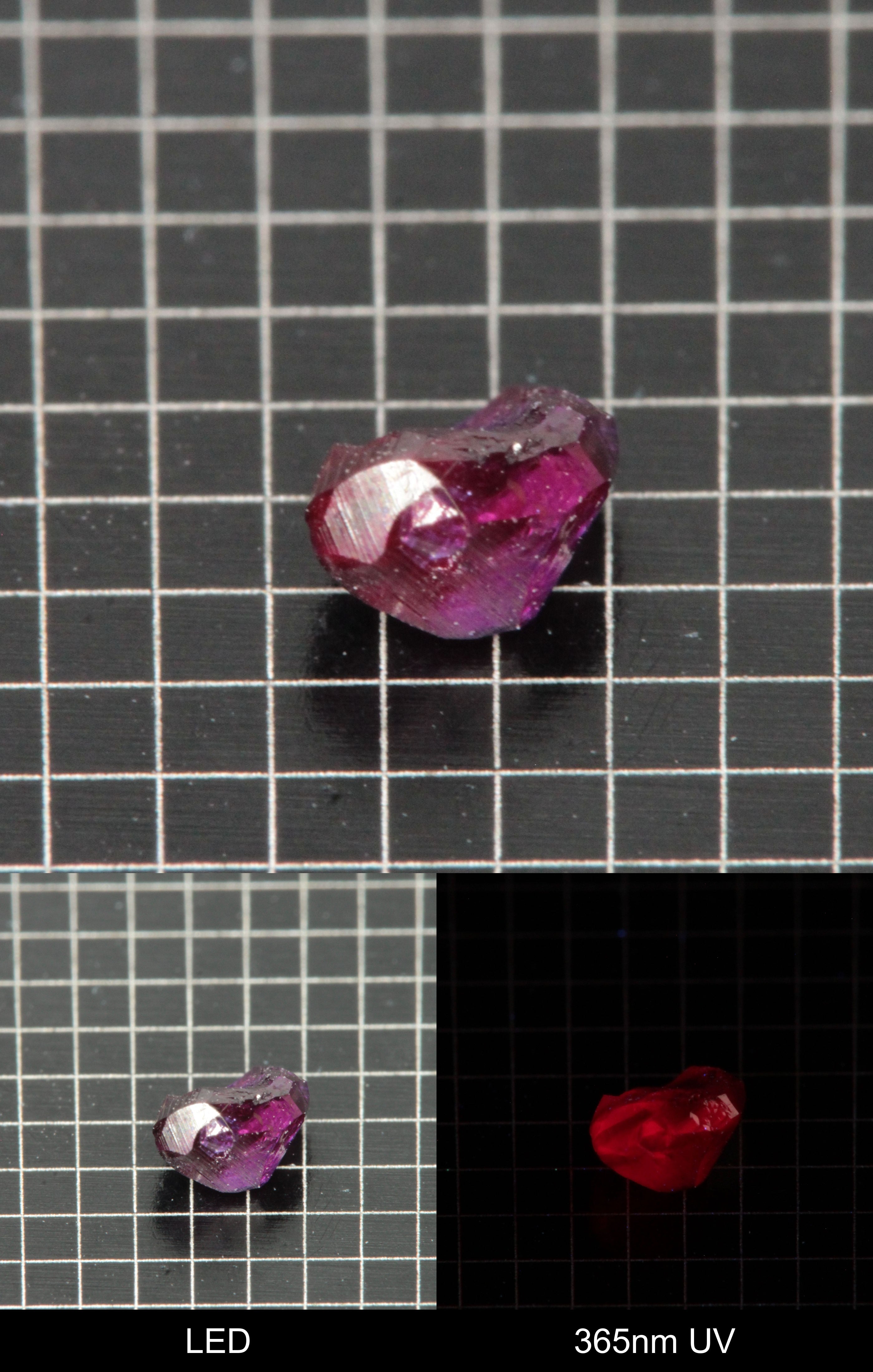 Synthetic Flux Ruby Gemstone Grown by Gems of Science on a black mm grid background showing normal light and UV fluorescence