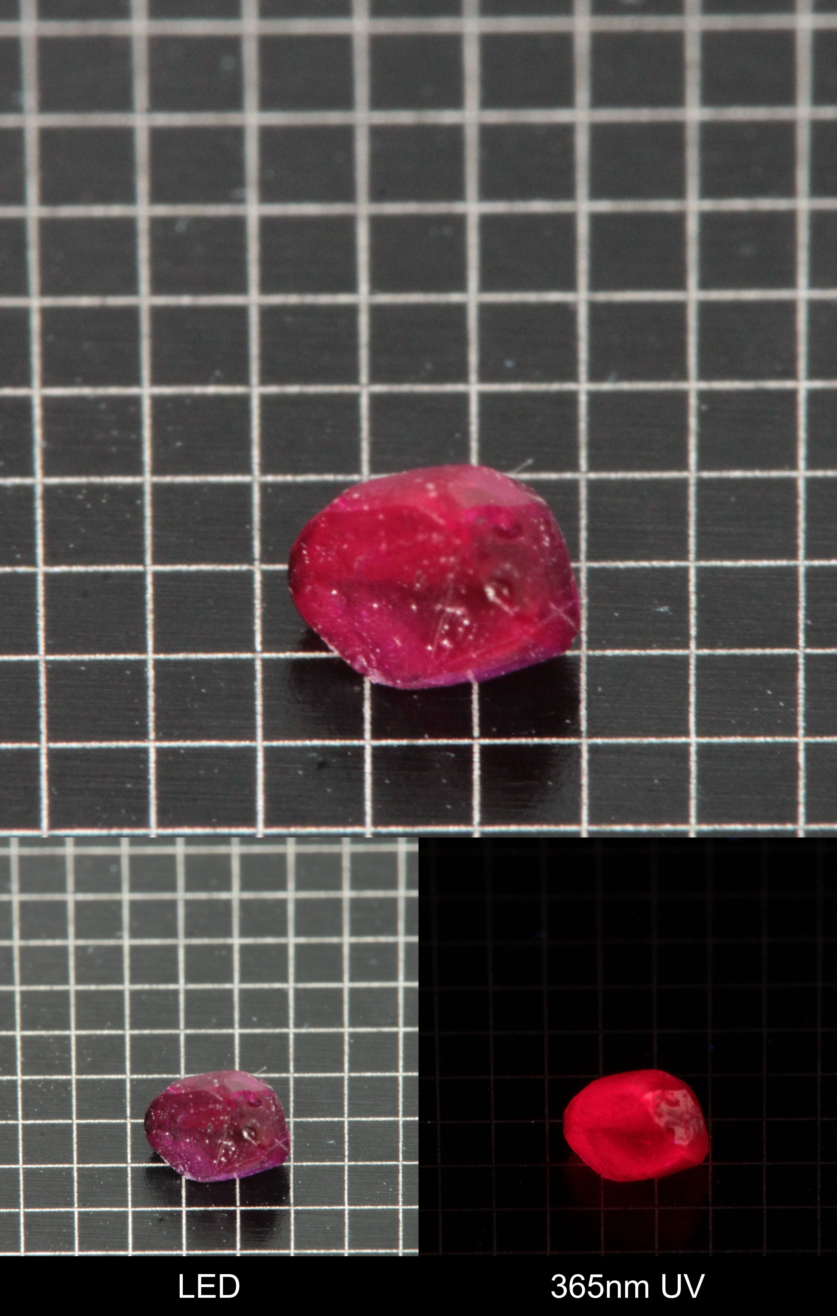 Synthetic Flux Ruby Gemstone Grown by Gems of Science on a black mm grid background showing normal light and UV fluorescence