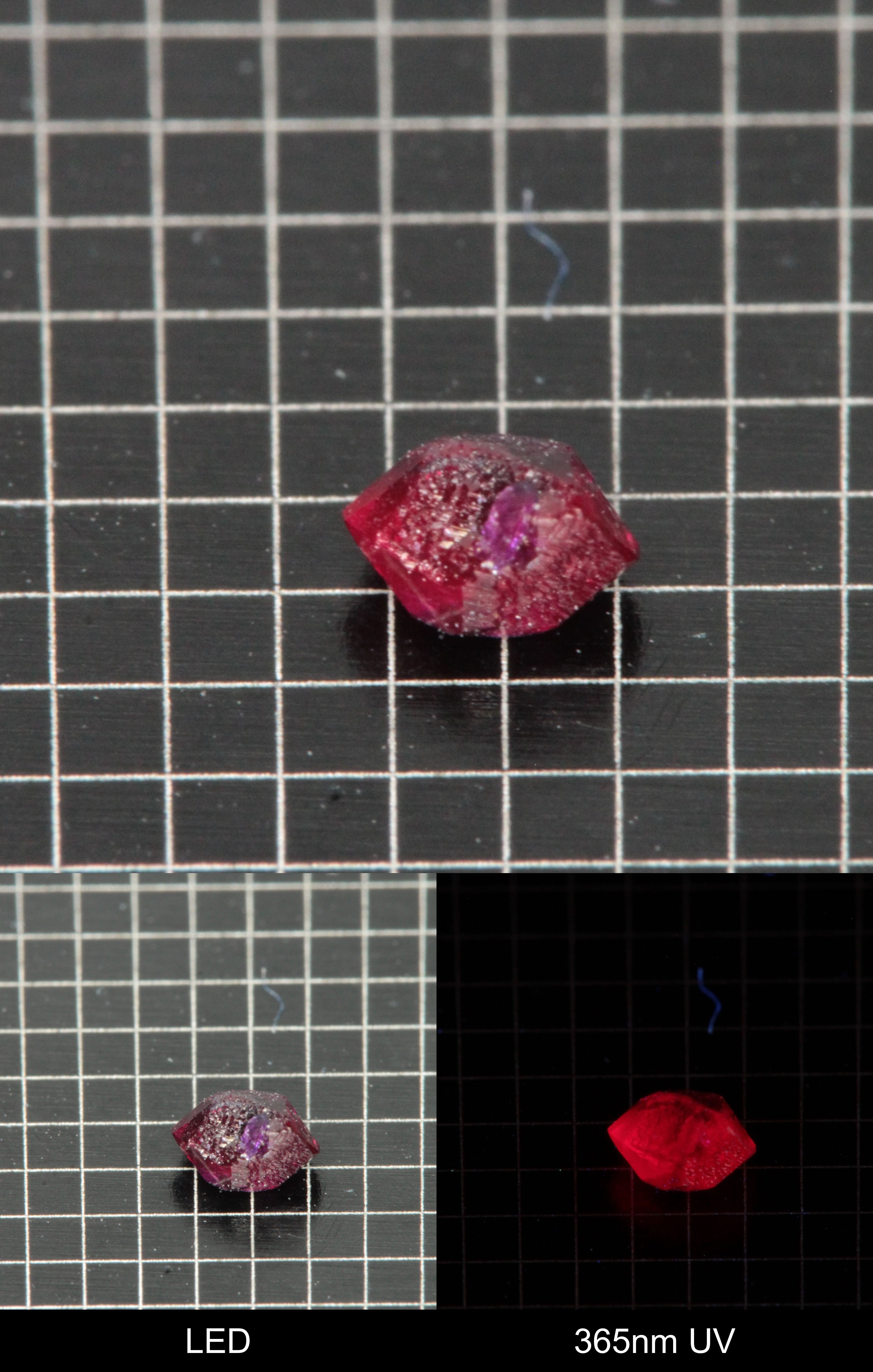 Synthetic Dark Flux Ruby Gemstone Grown by Gems of Science on a black mm grid background showing normal light and UV fluorescence