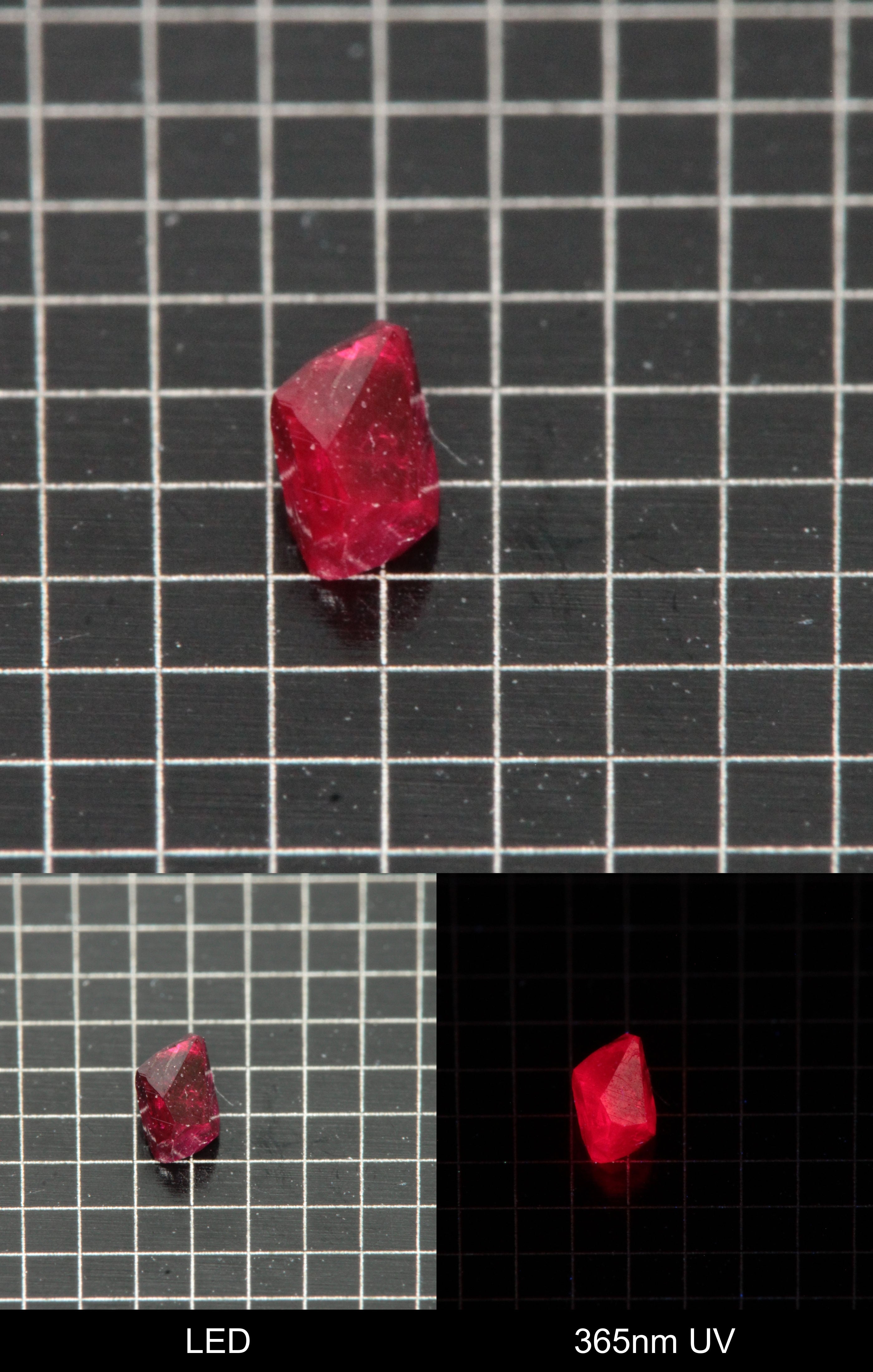 Synthetic Flux Ruby Gemstone Grown by Gems of Science on a black mm grid background showing normal light and UV fluorescence