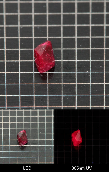 Synthetic Flux Ruby Gemstone Grown by Gems of Science on a black mm grid background showing normal light and UV fluorescence