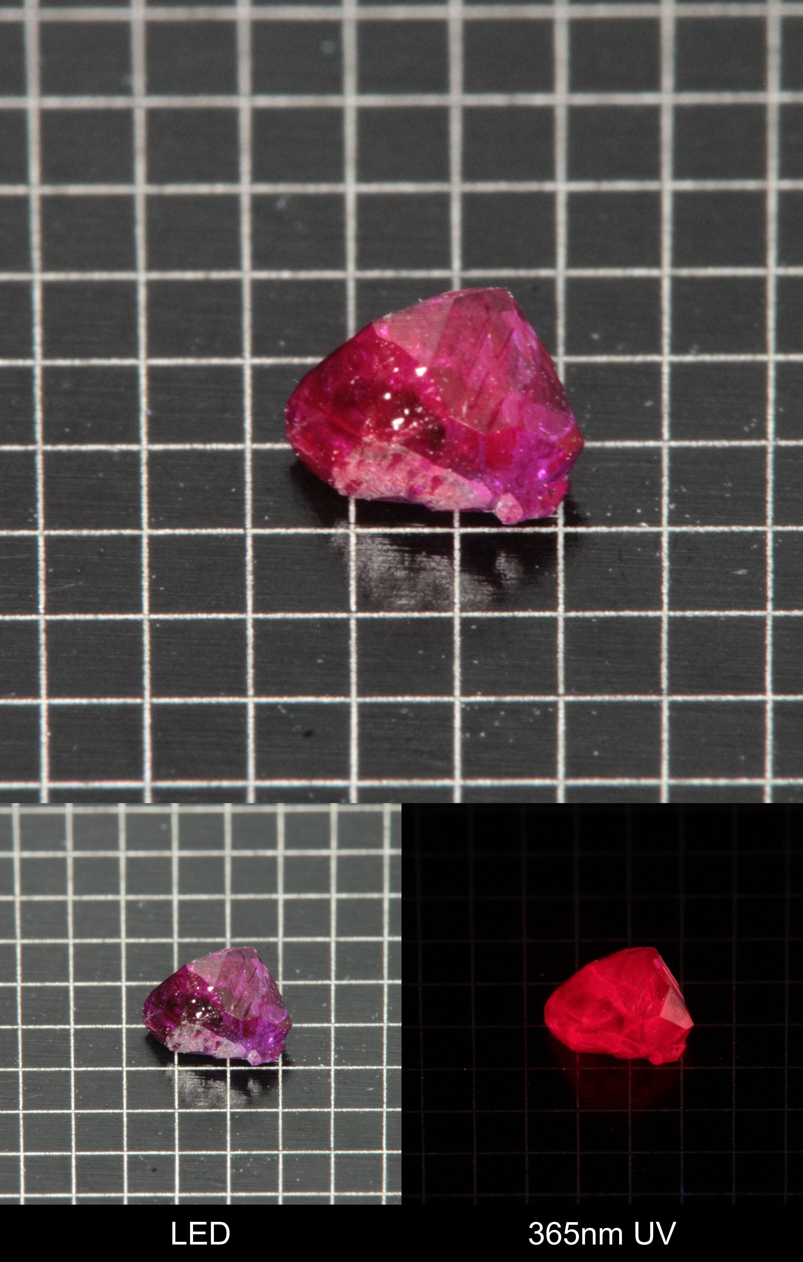 Synthetic Flux Ruby Gemstone Grown by Gems of Science on a black mm grid background showing normal light and UV fluorescence