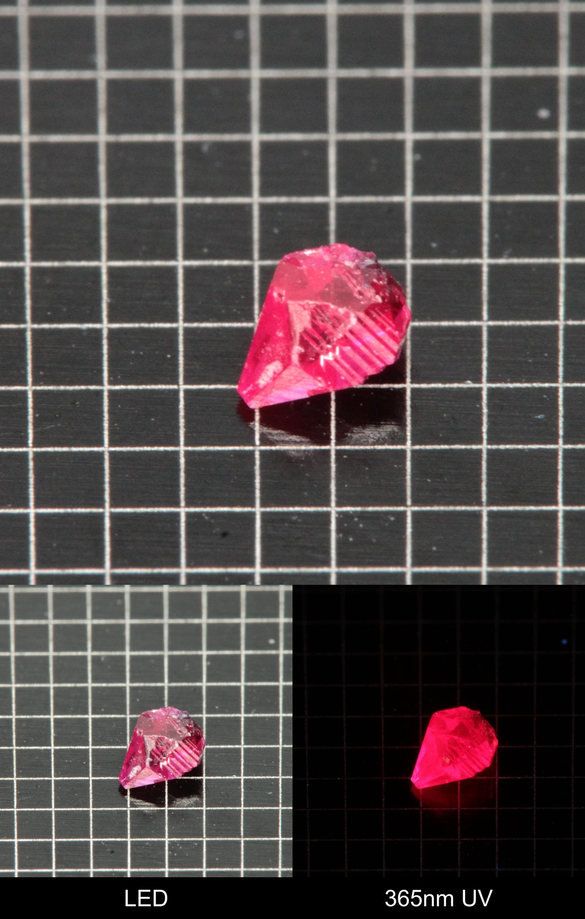 Synthetic Dark Flux Ruby Gemstone Grown by Gems of Science on a black mm grid background showing normal light and UV fluorescence
