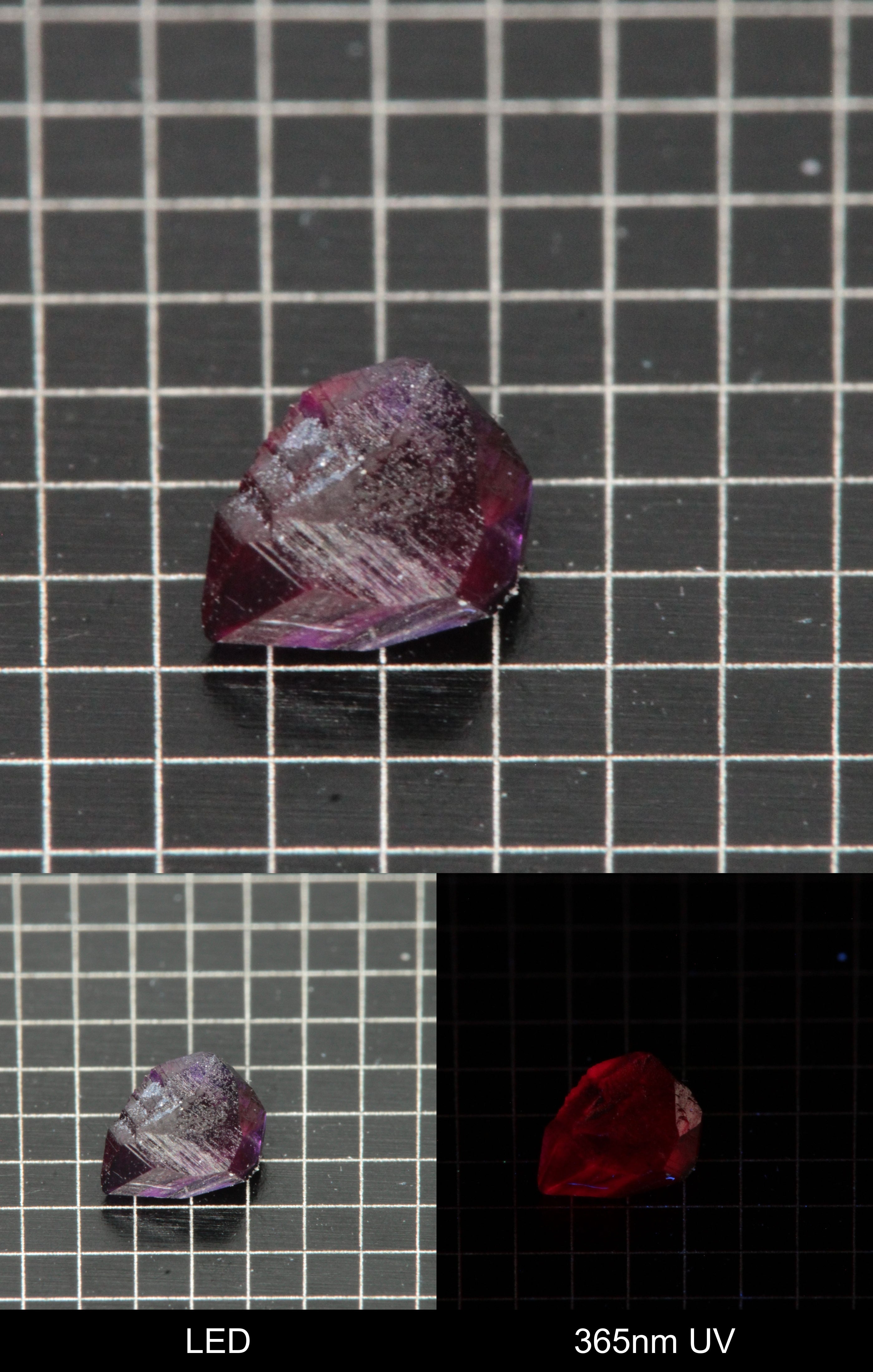 Synthetic Flux Ruby Gemstone Grown by Gems of Science on a black mm grid background showing normal light and UV fluorescence