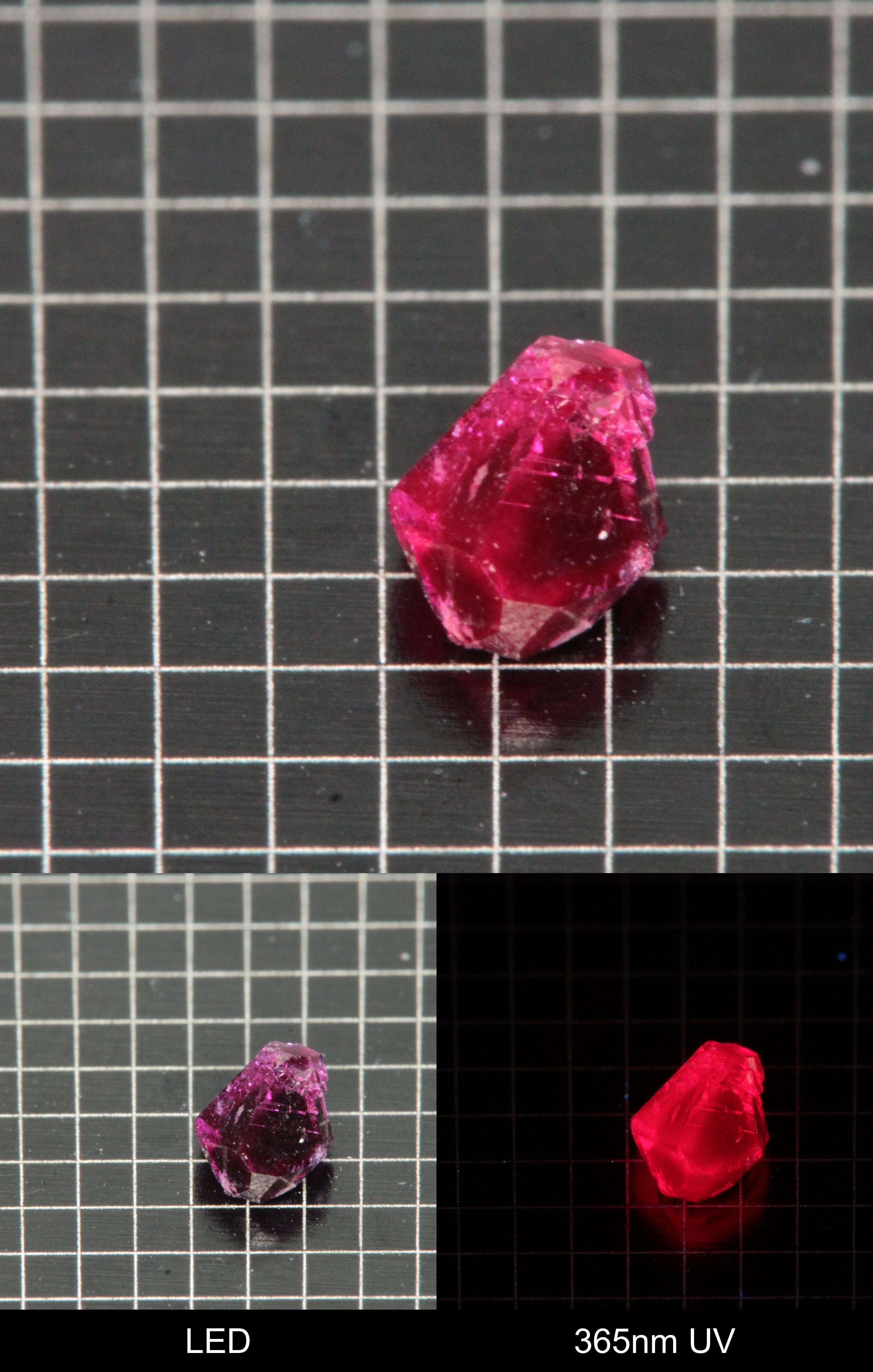 Synthetic Dark Flux Ruby Gemstone Grown by Gems of Science on a black mm grid background showing normal light and UV fluorescence