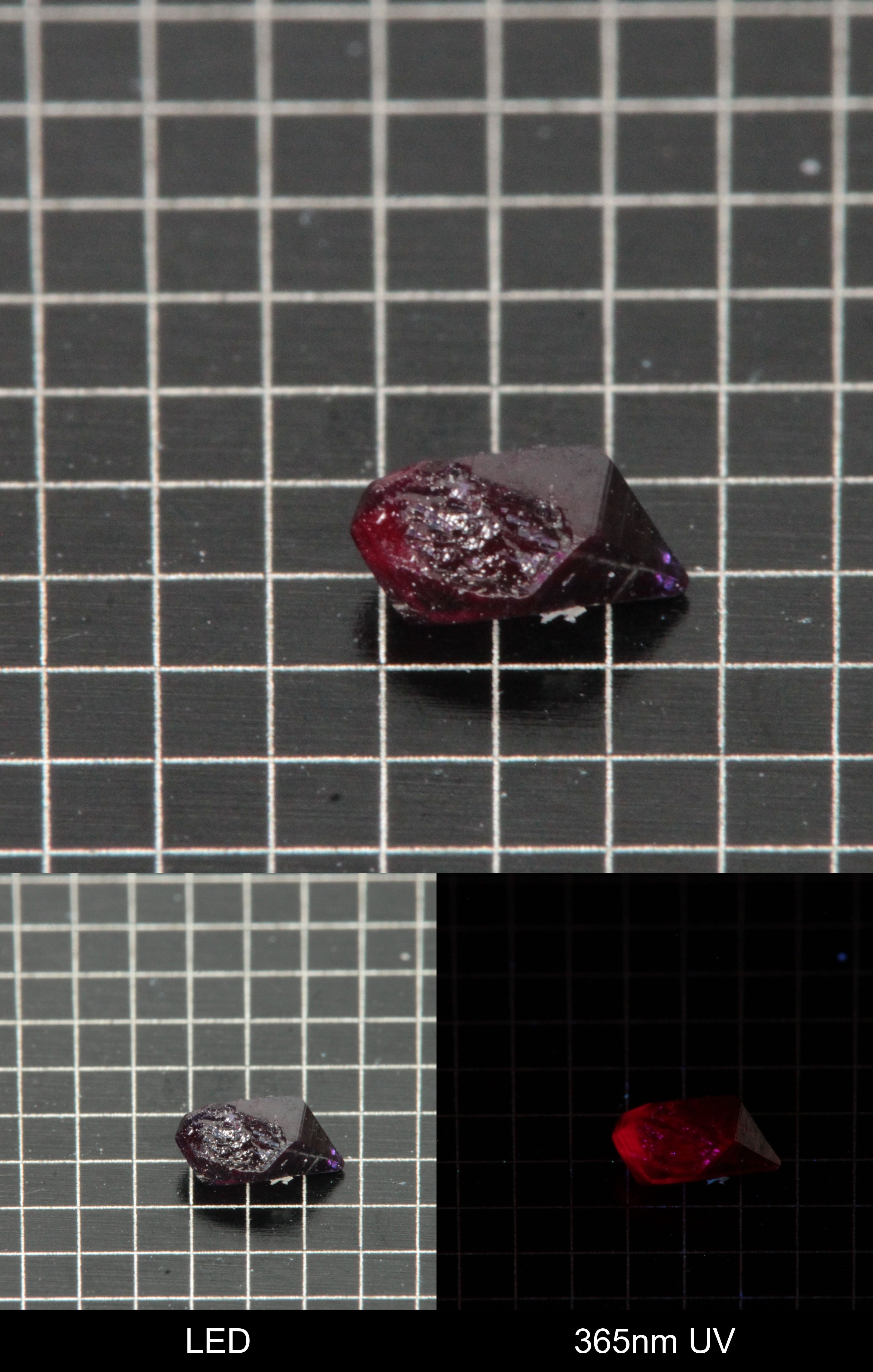 Synthetic Flux Ruby Gemstone Grown by Gems of Science on a black mm grid background showing normal light and UV fluorescence