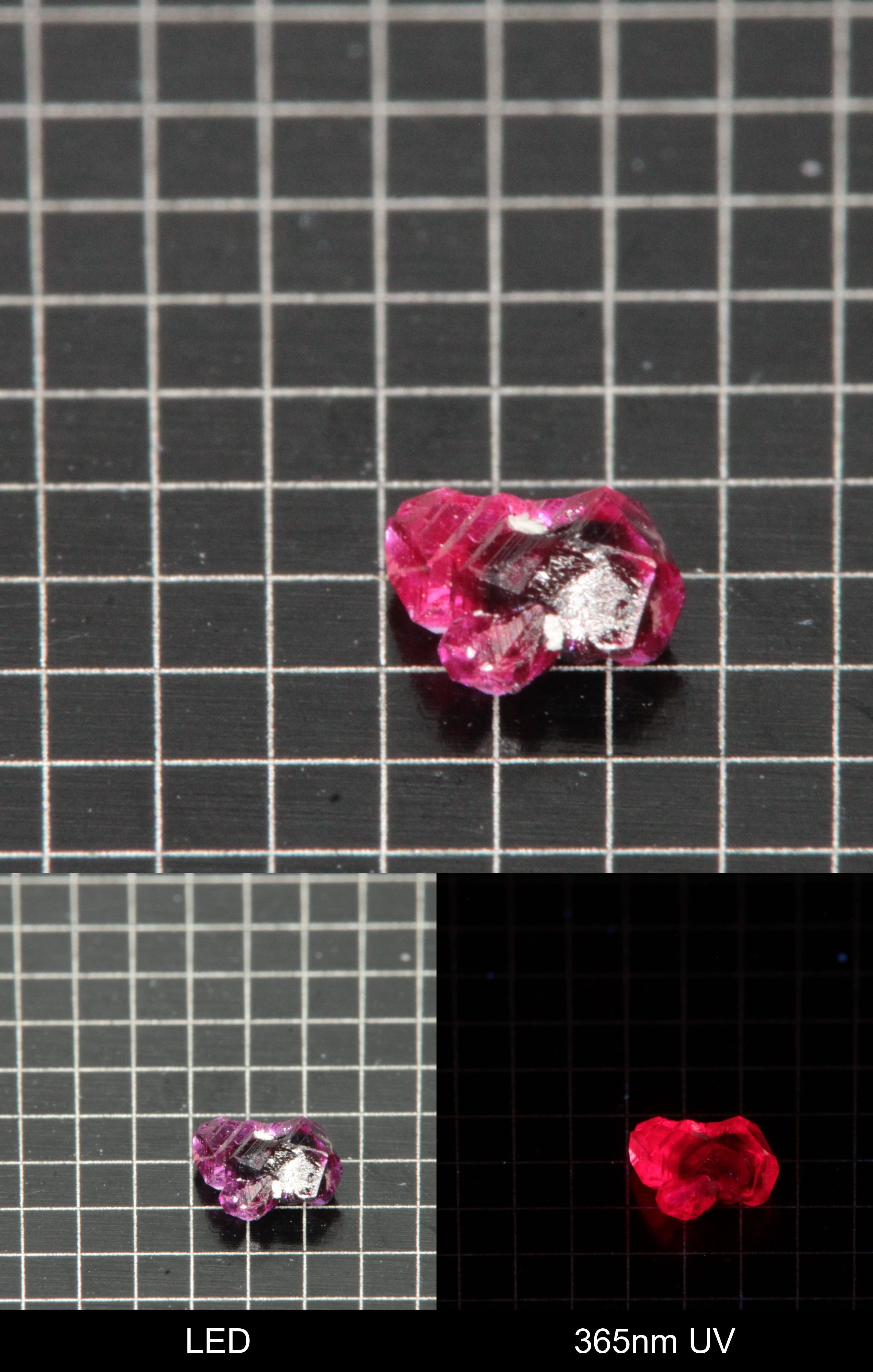 Synthetic Dark Flux Ruby Gemstone Grown by Gems of Science on a black mm grid background showing normal light and UV fluorescence
