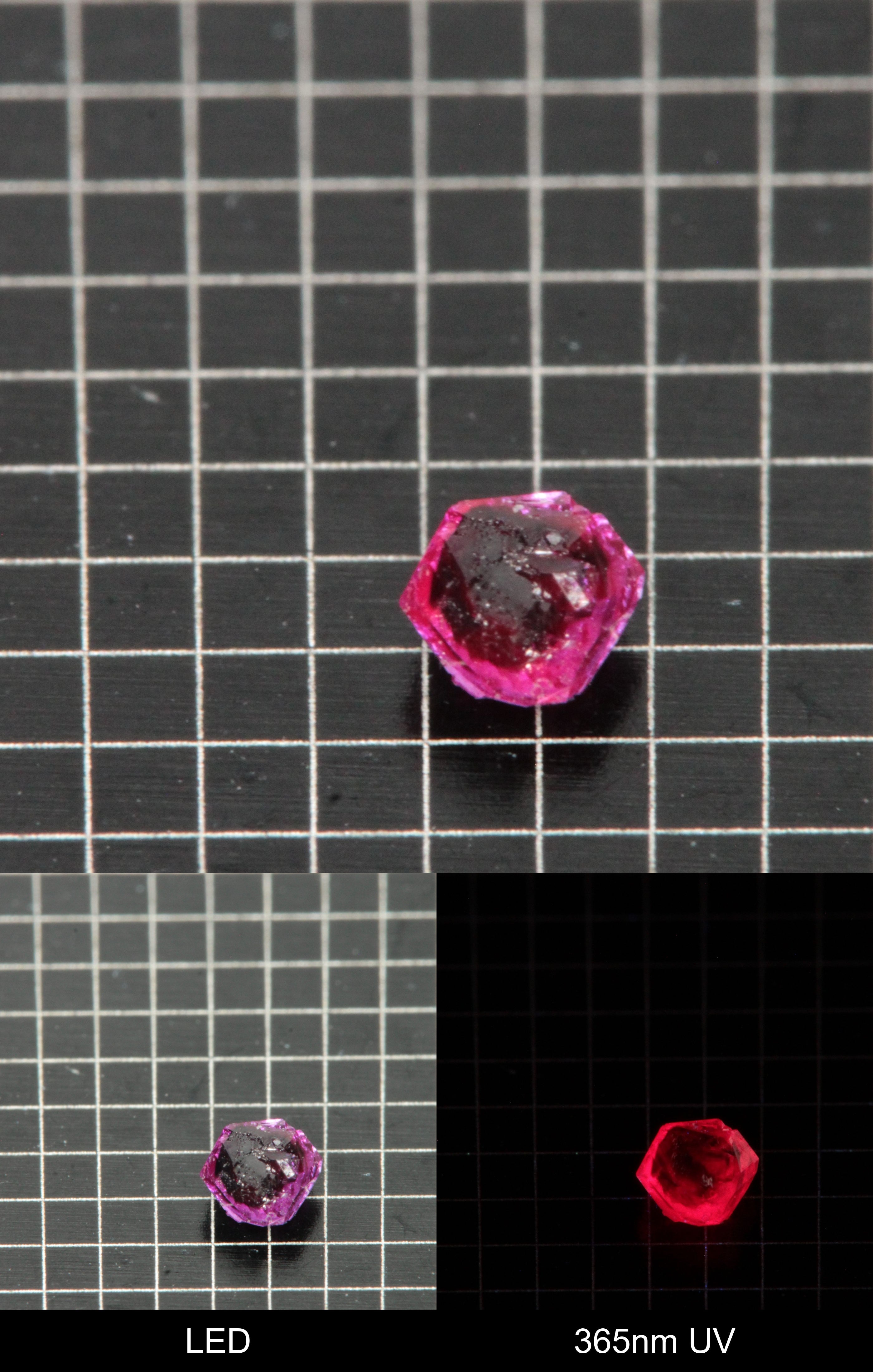 Synthetic Dark Flux Ruby Gemstone Grown by Gems of Science on a black mm grid background showing normal light and UV fluorescence