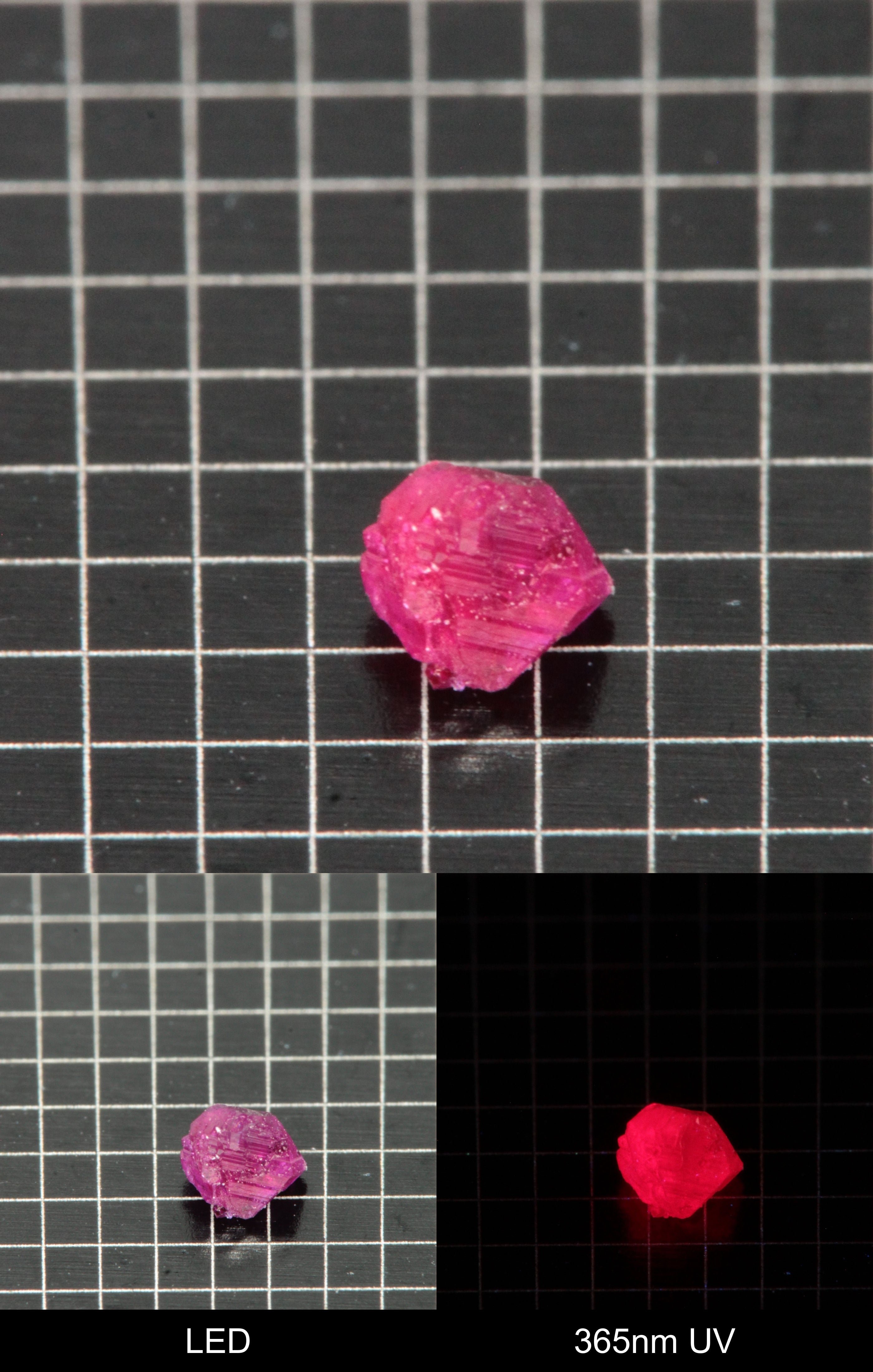 Synthetic Flux Ruby Gemstone Grown by Gems of Science on a black mm grid background showing normal light and UV fluorescence