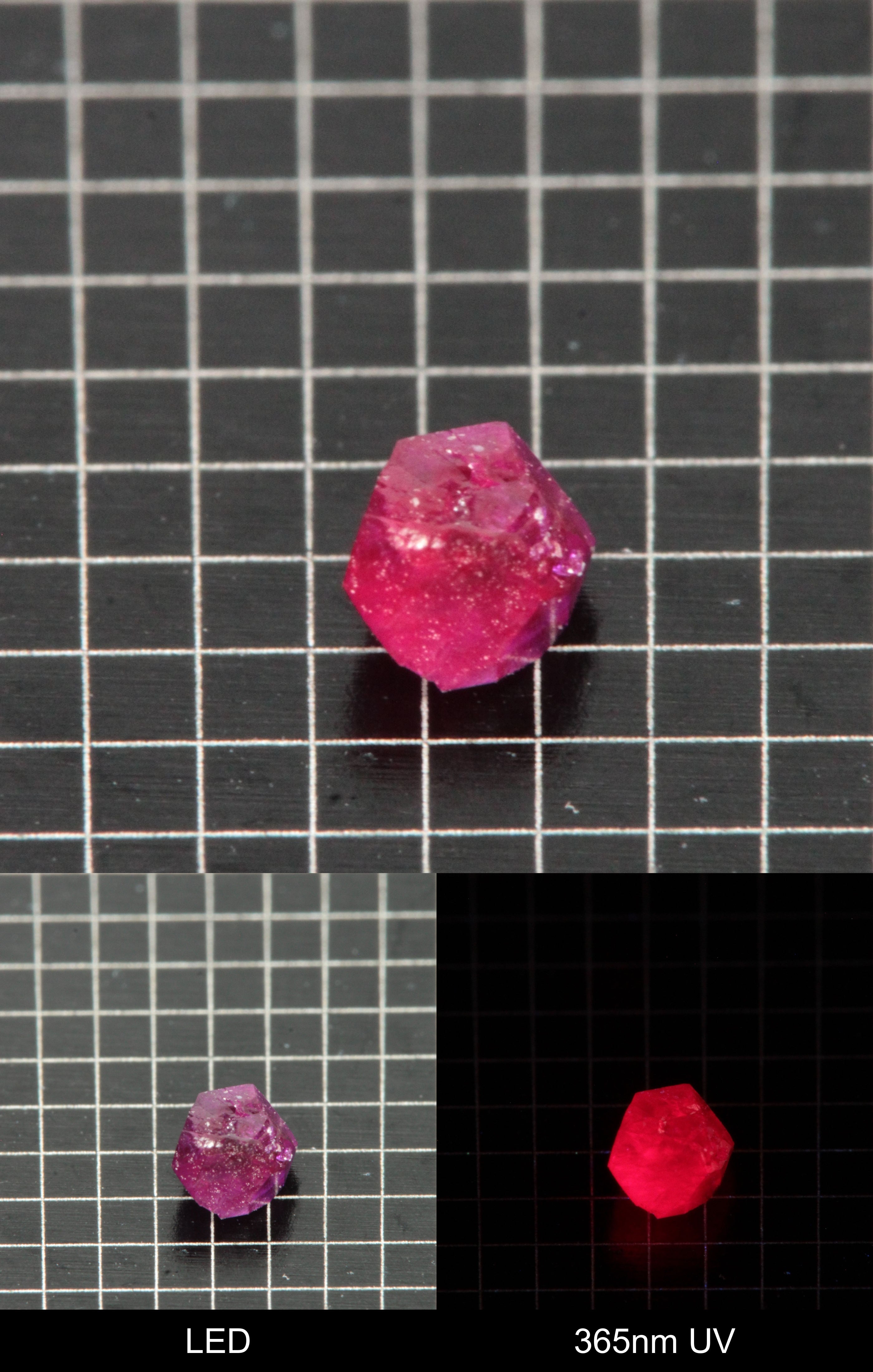 Synthetic Flux Ruby Gemstone Grown by Gems of Science on a black mm grid background showing normal light and UV fluorescence