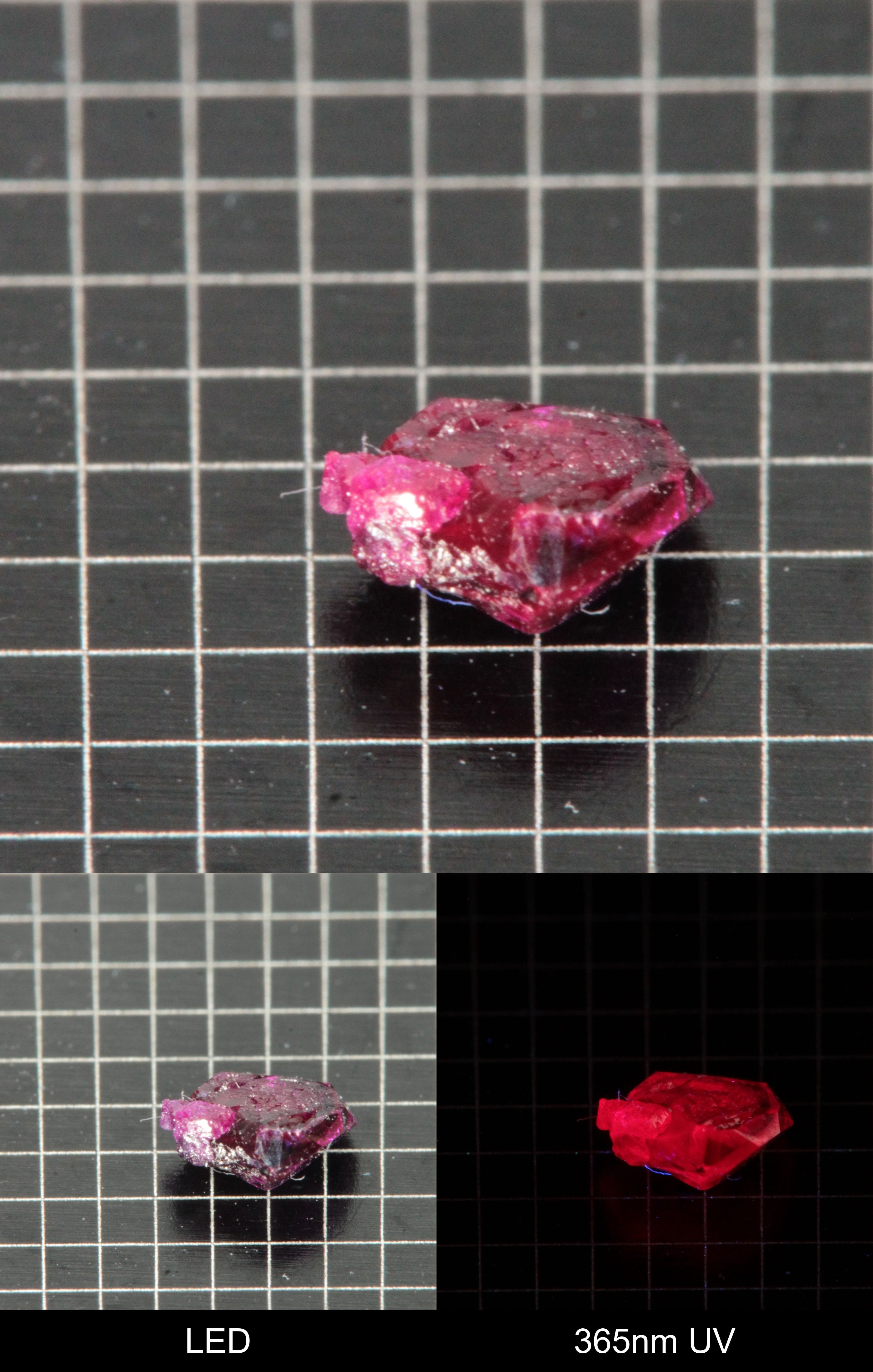 Synthetic Flux Ruby Gemstone Grown by Gems of Science on a black mm grid background showing normal light and UV fluorescence