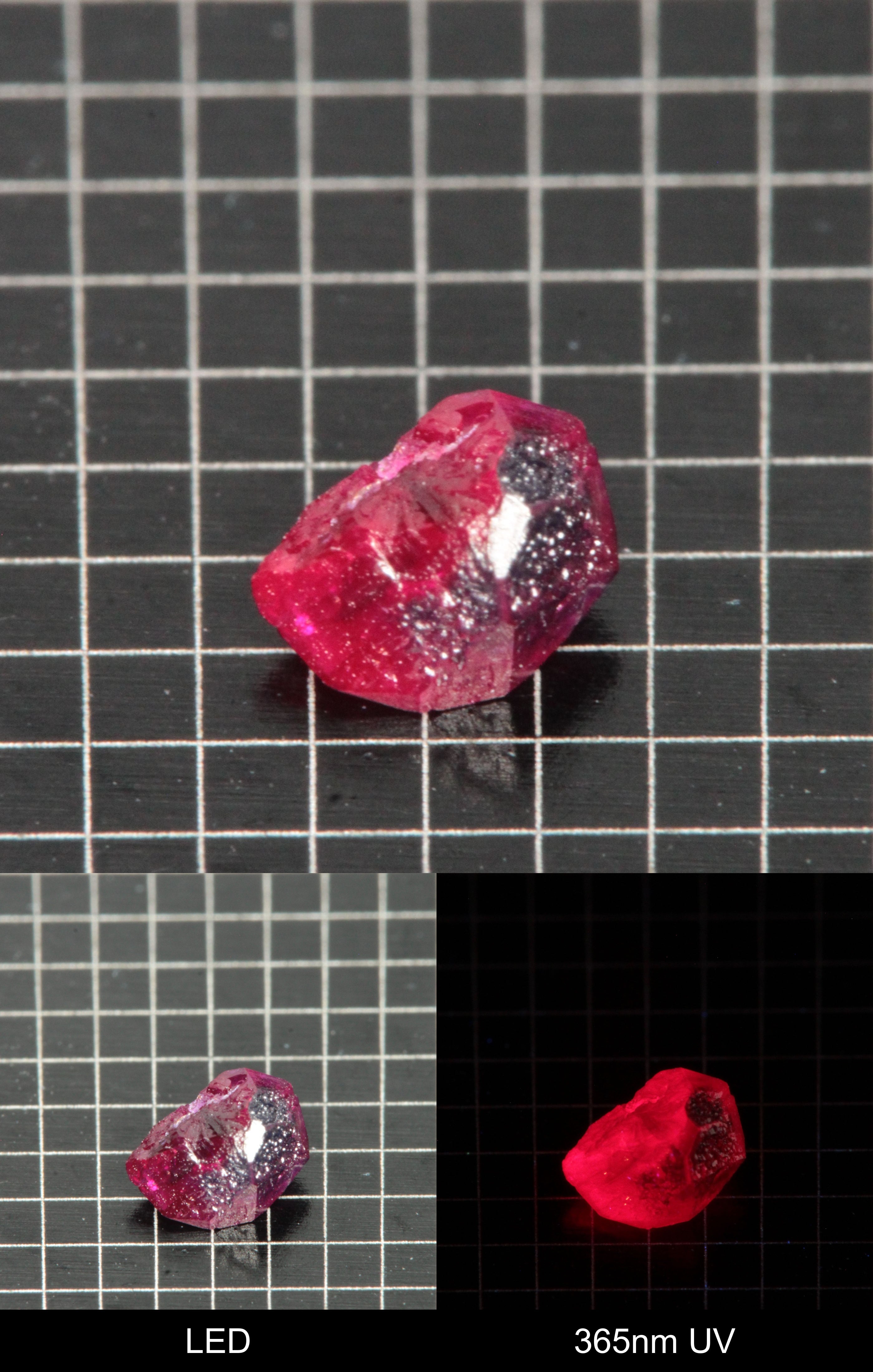 Synthetic Flux Ruby Gemstone Grown by Gems of Science on a black mm grid background showing normal light and UV fluorescence