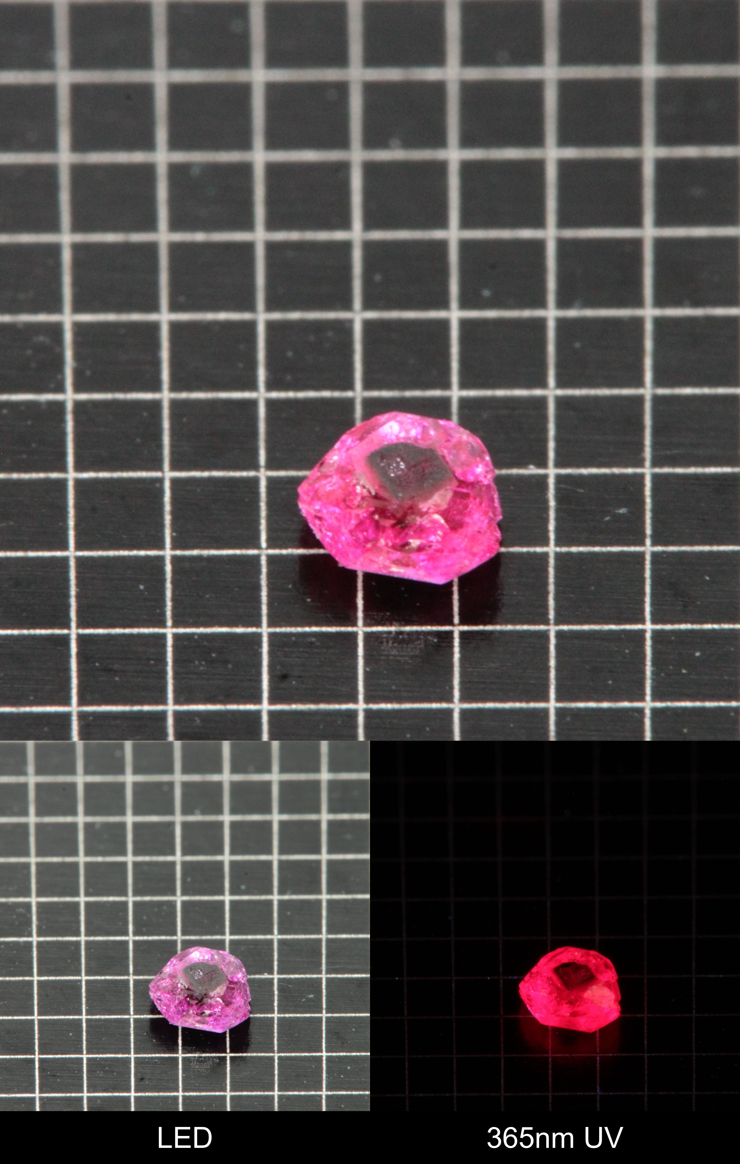 Synthetic Flux Ruby Gemstone Grown by Gems of Science on a black mm grid background showing normal light and UV fluorescence