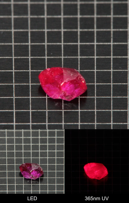 Synthetic Flux Ruby Gemstone Grown by Gems of Science on a black mm grid background showing normal light and UV fluorescence