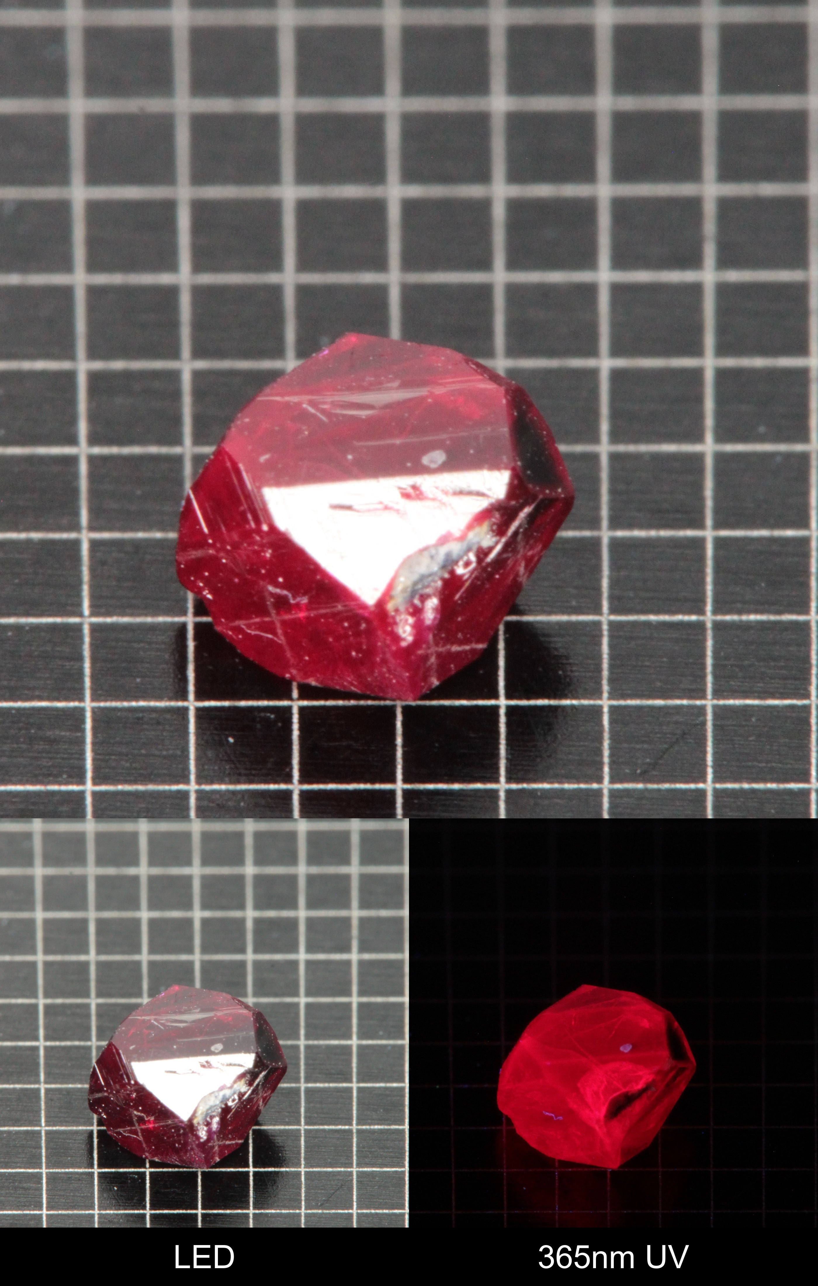 Synthetic Flux Ruby Gemstone Grown by Gems of Science on a black mm grid background showing normal light and UV fluorescence