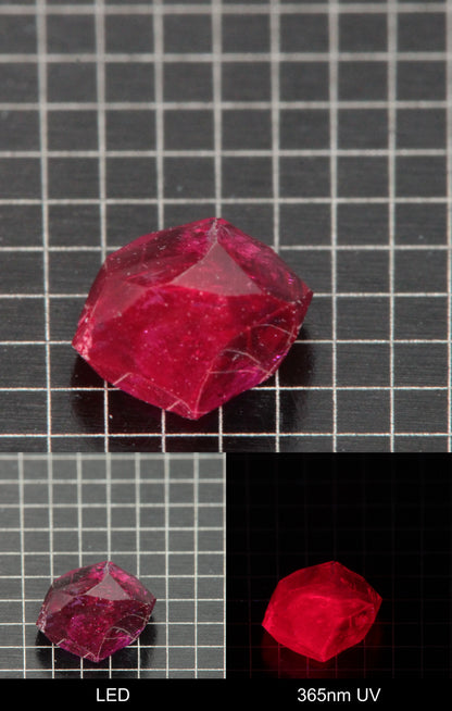 Synthetic Flux Ruby Gemstone Grown by Gems of Science on a black mm grid background showing normal light and UV fluorescence
