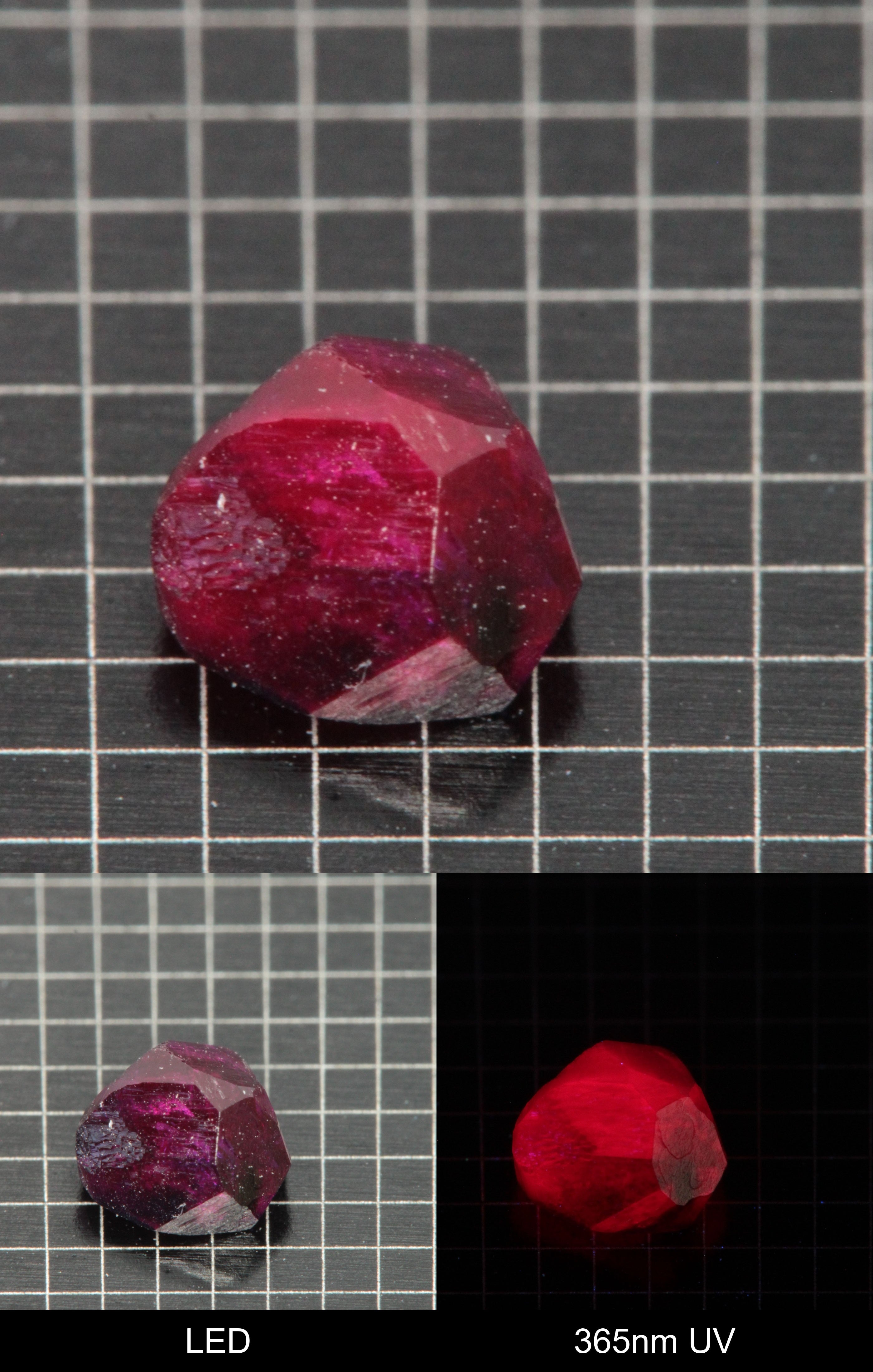 Synthetic Flux Ruby Gemstone Grown by Gems of Science on a black mm grid background showing normal light and UV fluorescence