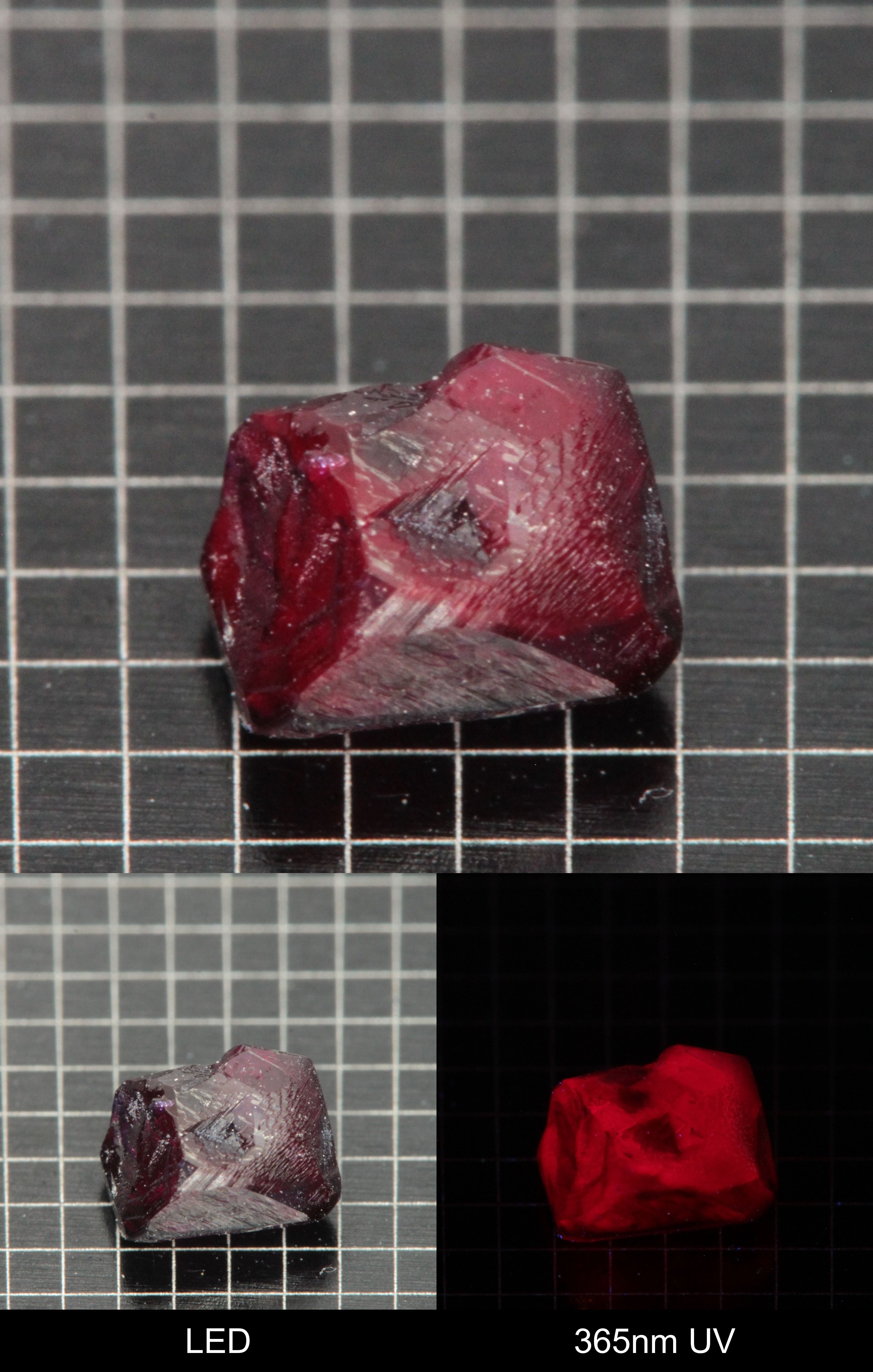 Synthetic Dark Flux Ruby Gemstone Grown by Gems of Science on a black mm grid background showing normal light and UV fluorescence