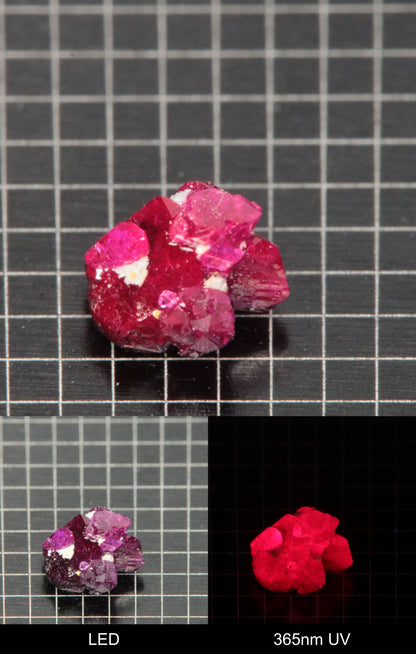 Synthetic Flux Ruby Gemstone Grown by Gems of Science on a black mm grid background showing normal light and UV fluorescence