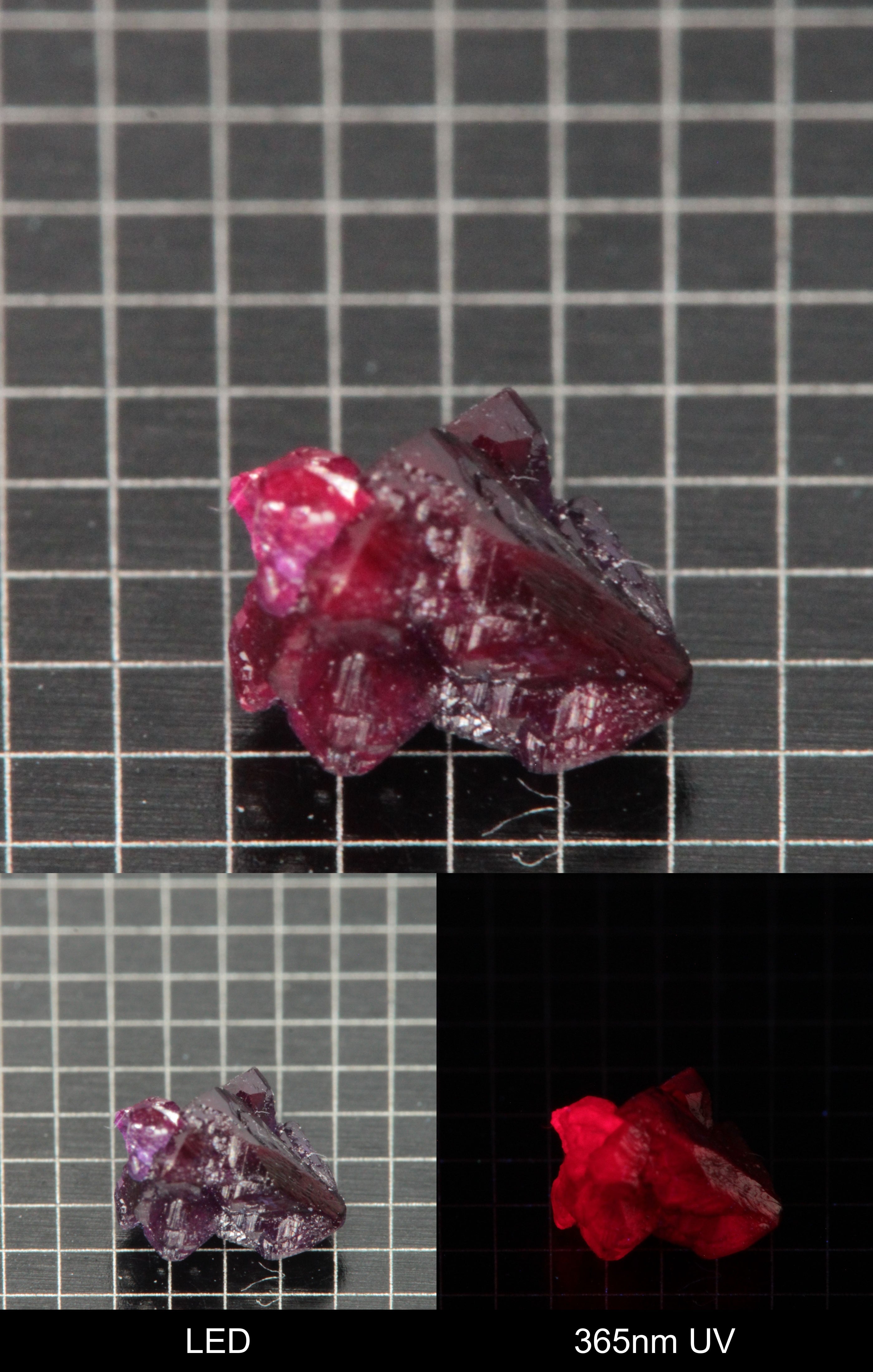 Synthetic Flux Ruby Gemstone Grown by Gems of Science on a black mm grid background showing normal light and UV fluorescence