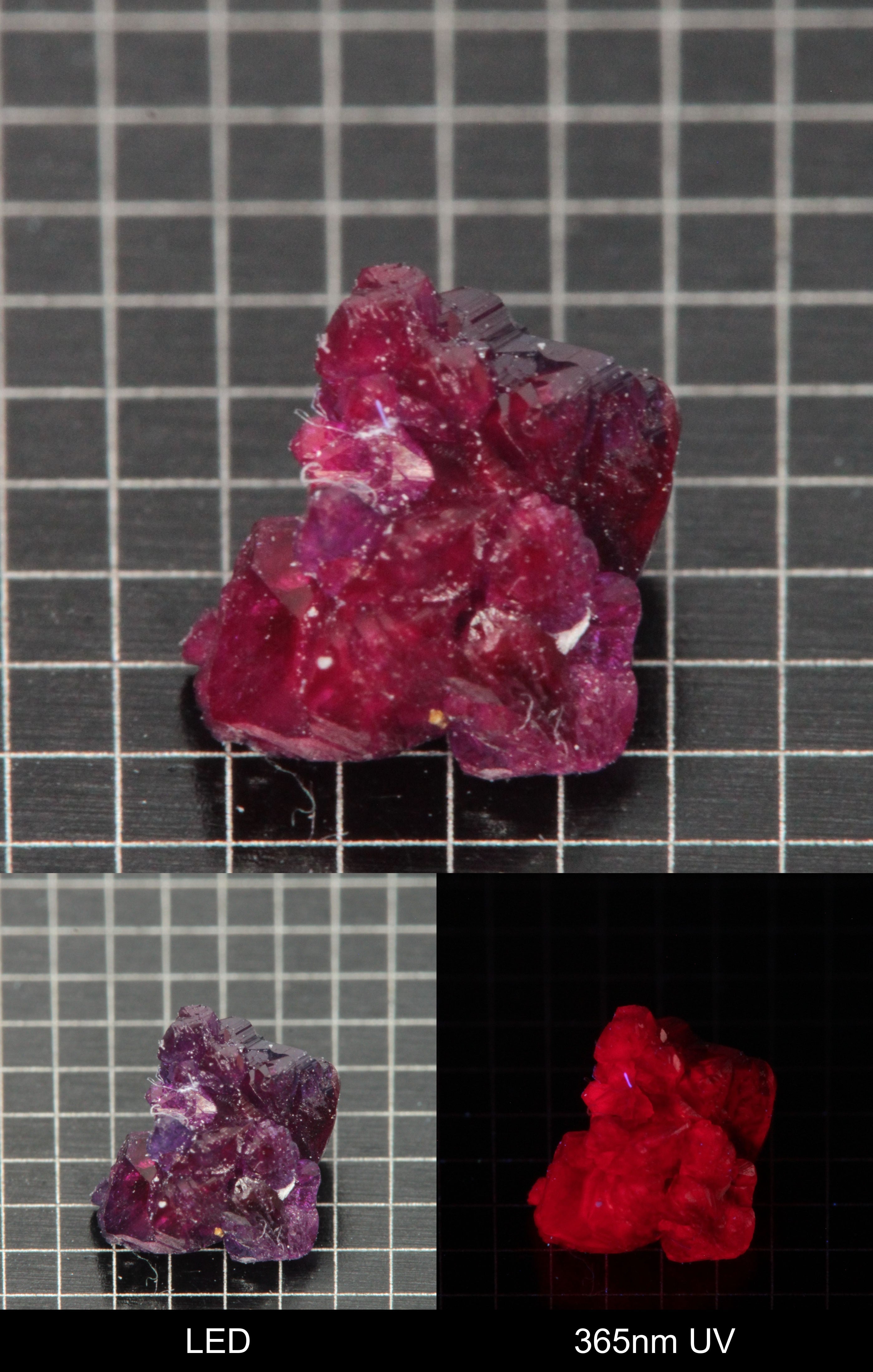 Synthetic Flux Ruby Gemstone Grown by Gems of Science on a black mm grid background showing normal light and UV fluorescence