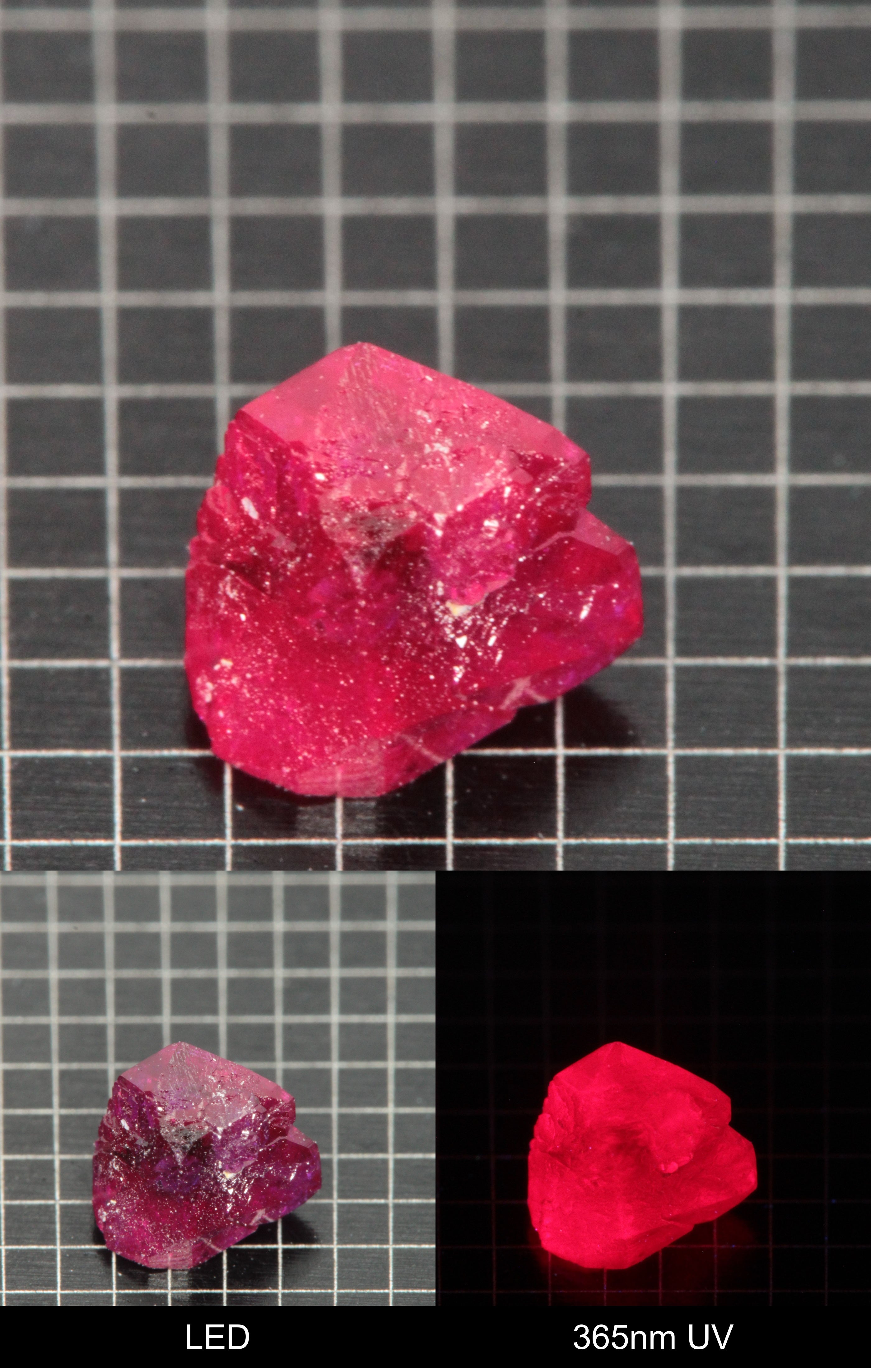 Synthetic Flux Ruby Gemstone Grown by Gems of Science on a black mm grid background showing normal light and UV fluorescence