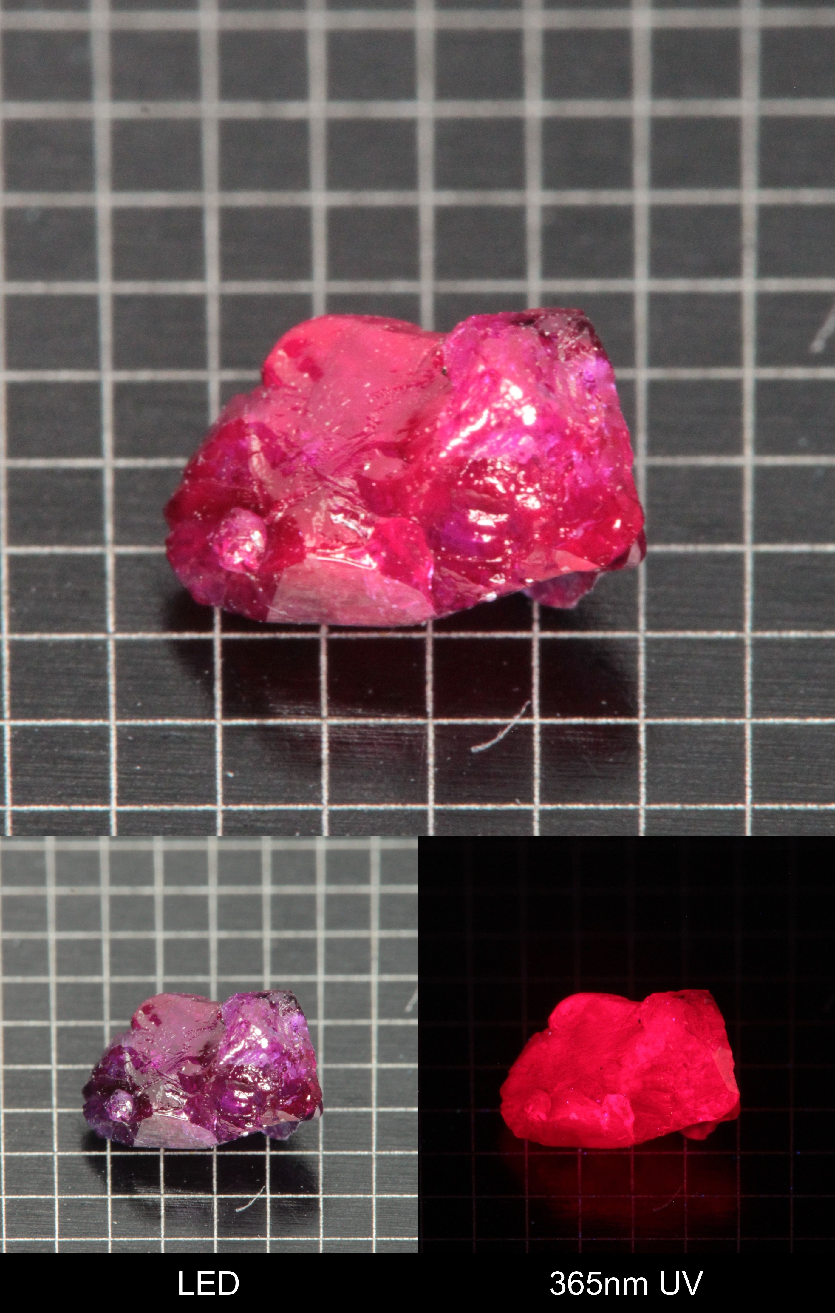 Synthetic Flux Ruby Gemstone Grown by Gems of Science on a black mm grid background showing normal light and UV fluorescence
