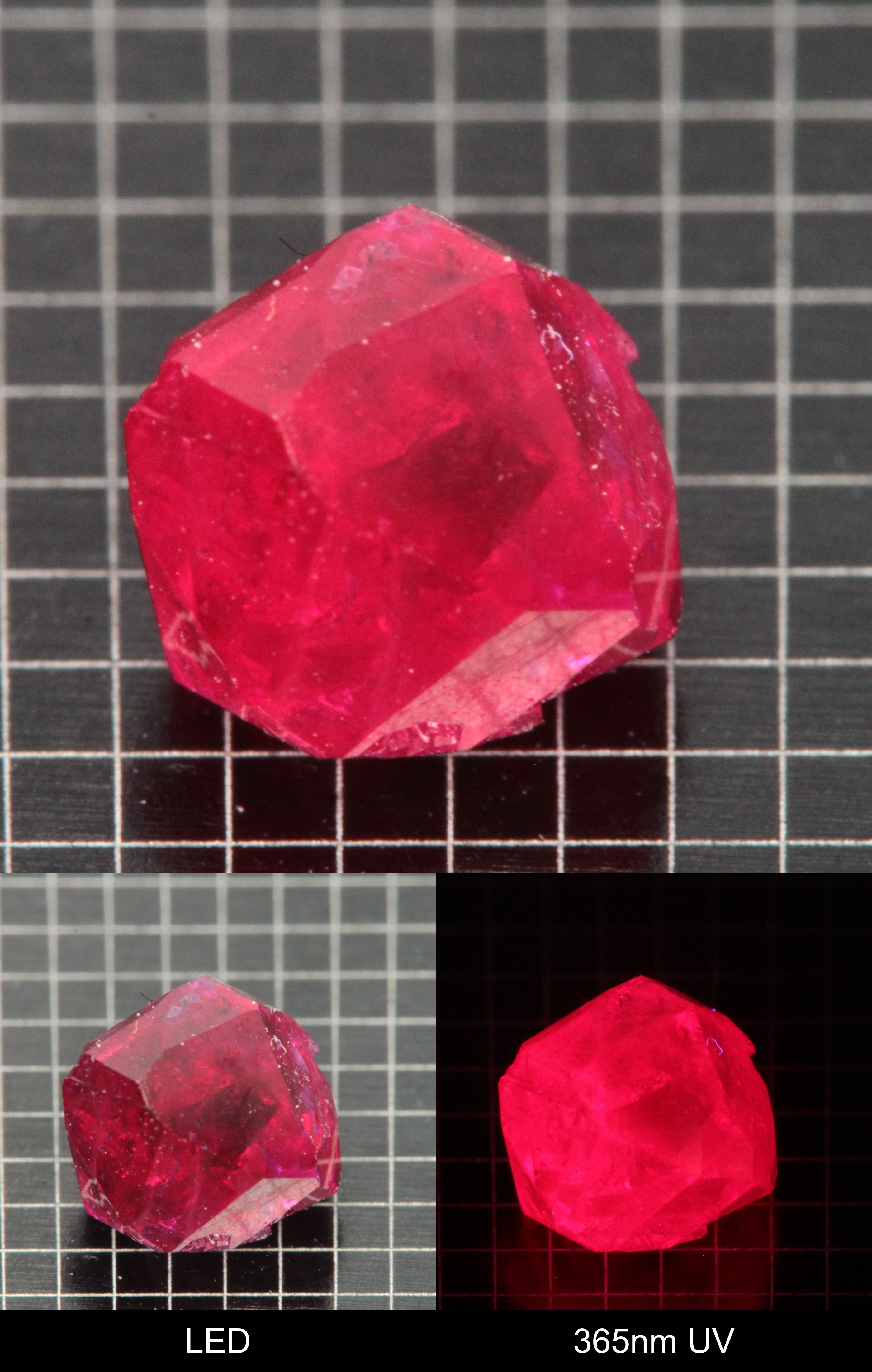 Synthetic Flux Ruby Gemstone Grown by Gems of Science on a black mm grid background showing normal light and UV fluorescence