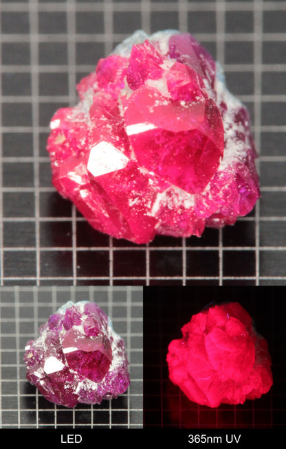 Synthetic Flux Ruby Gemstone Grown by Gems of Science on a black mm grid background showing normal light and UV fluorescence