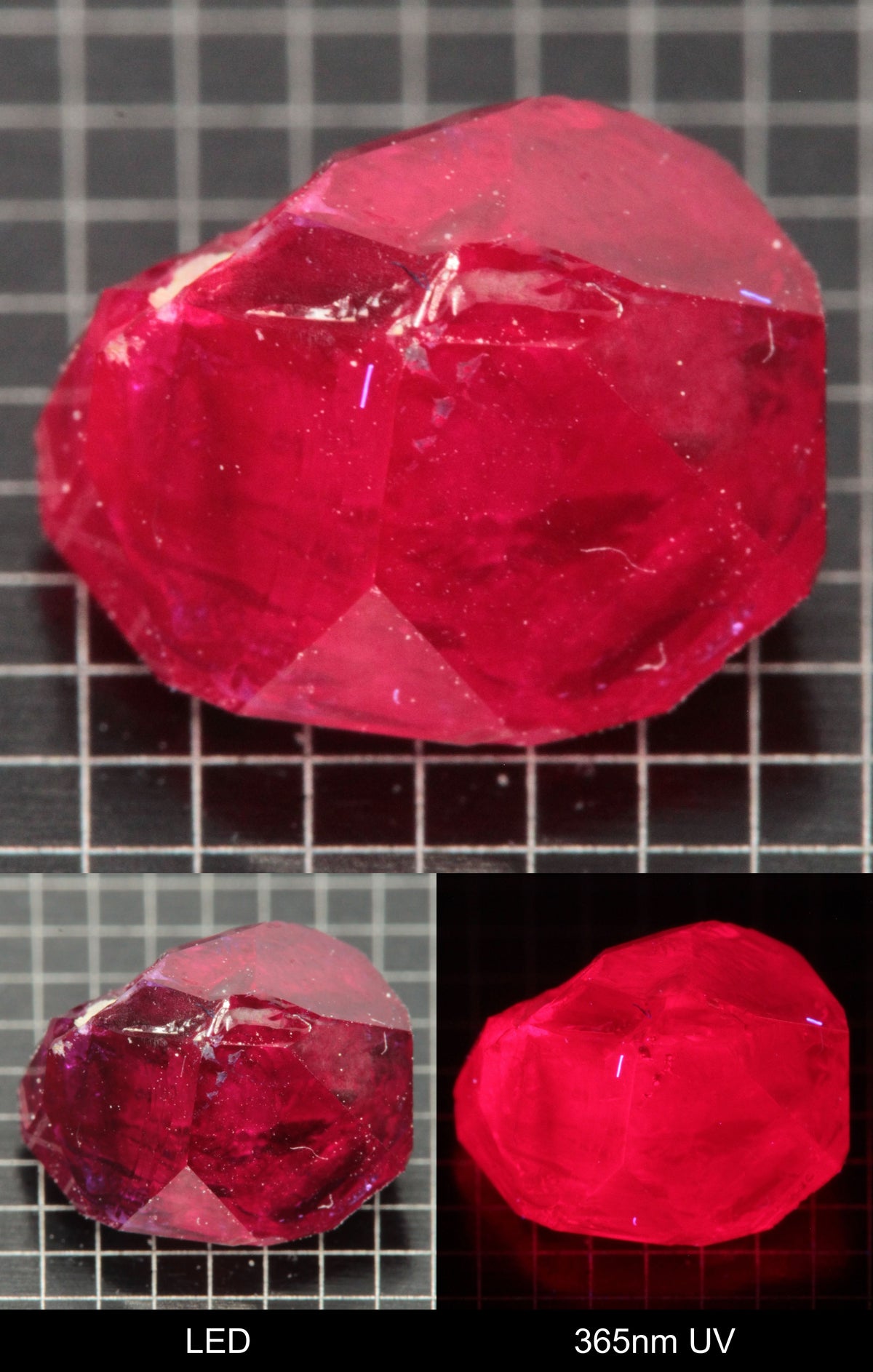 Synthetic Flux Ruby Gemstone Grown by Gems of Science on a black mm grid background showing normal light and UV fluorescence