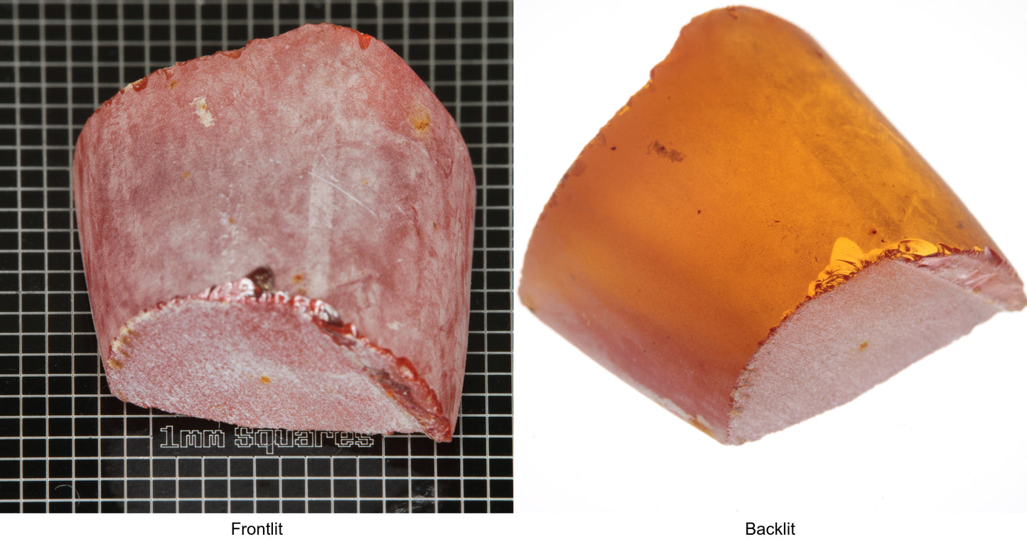 Rough Orange Flame Fusion Sapphire, Semicircle Shaped Piece shown in both normal light and backlit.