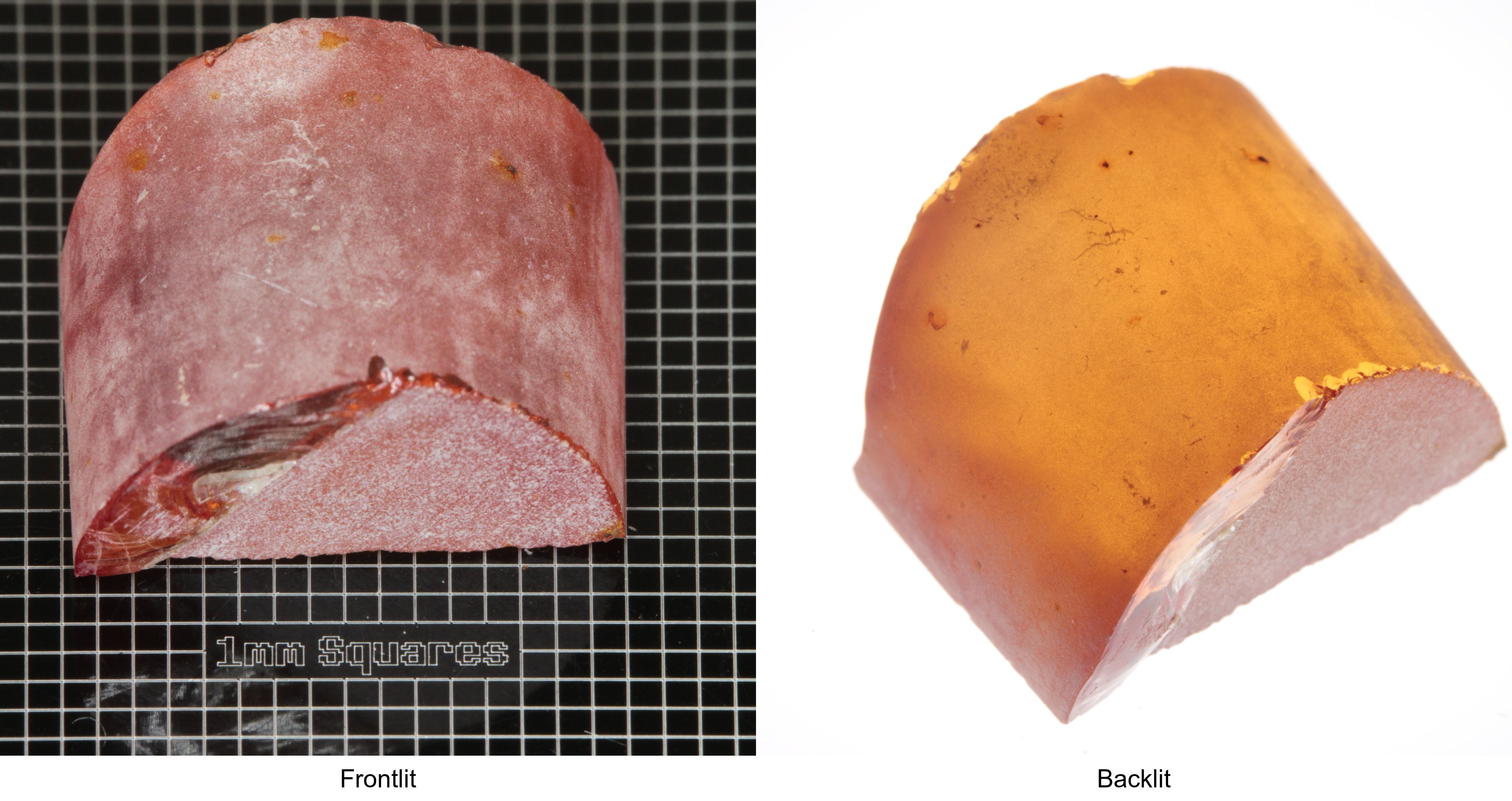 Rough Orange Flame Fusion Sapphire, Semicircle Shaped Piece shown in both normal light and backlit.