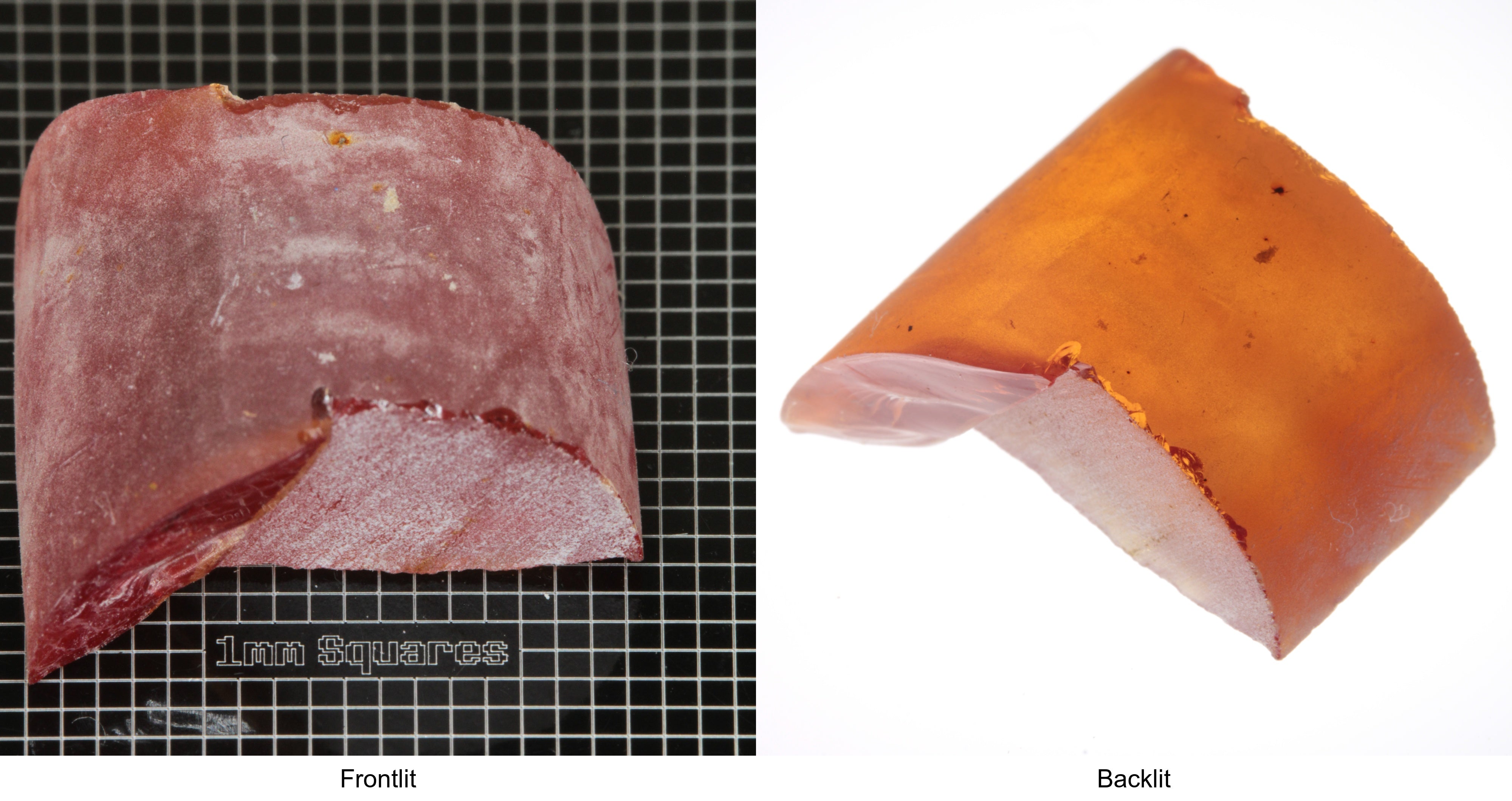 Rough Orange Flame Fusion Sapphire, Semicircle Shaped Piece shown in both normal light and backlit.
