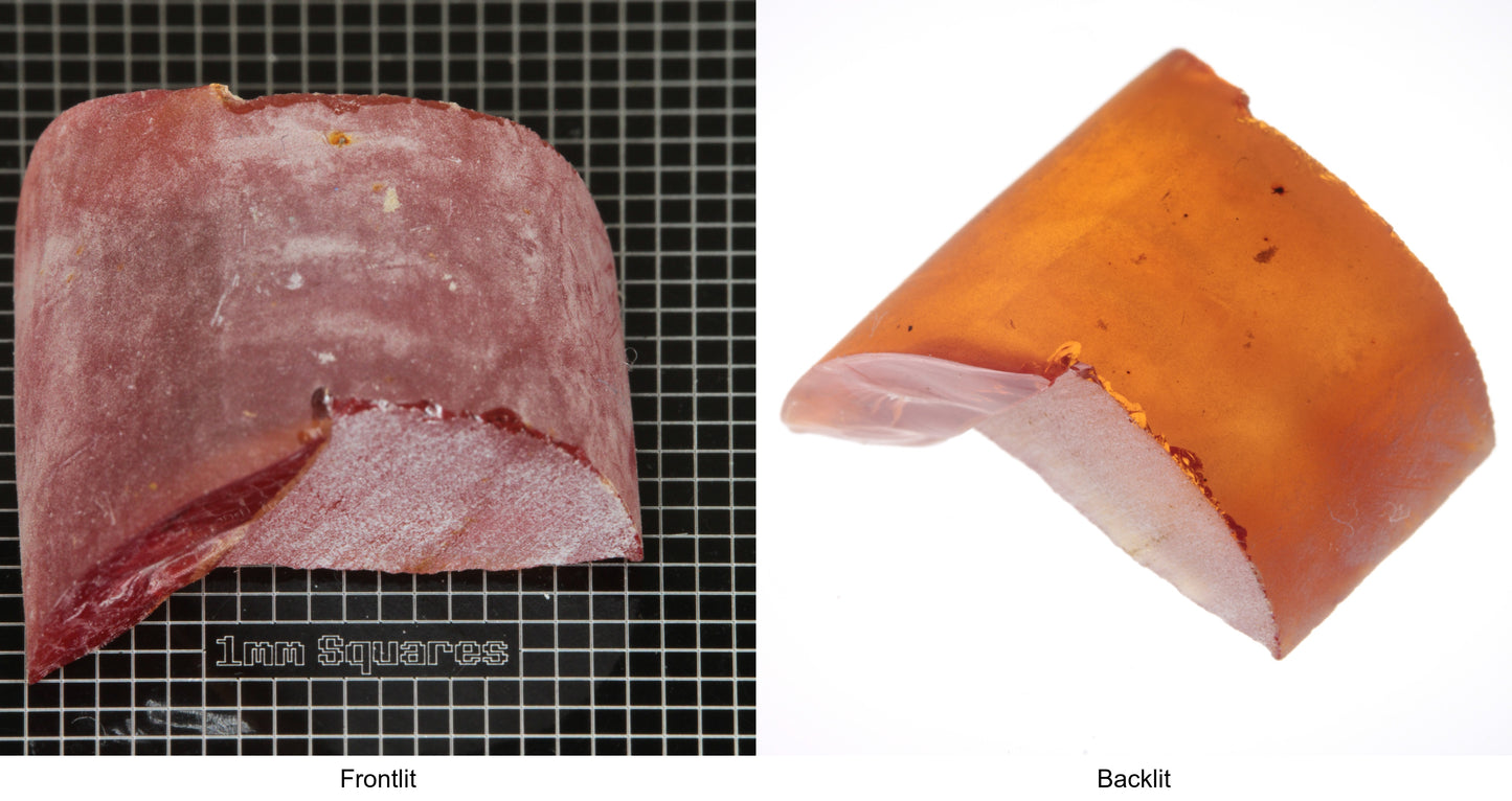 Rough Orange Flame Fusion Sapphire, Semicircle Shaped Piece shown in both normal light and backlit.