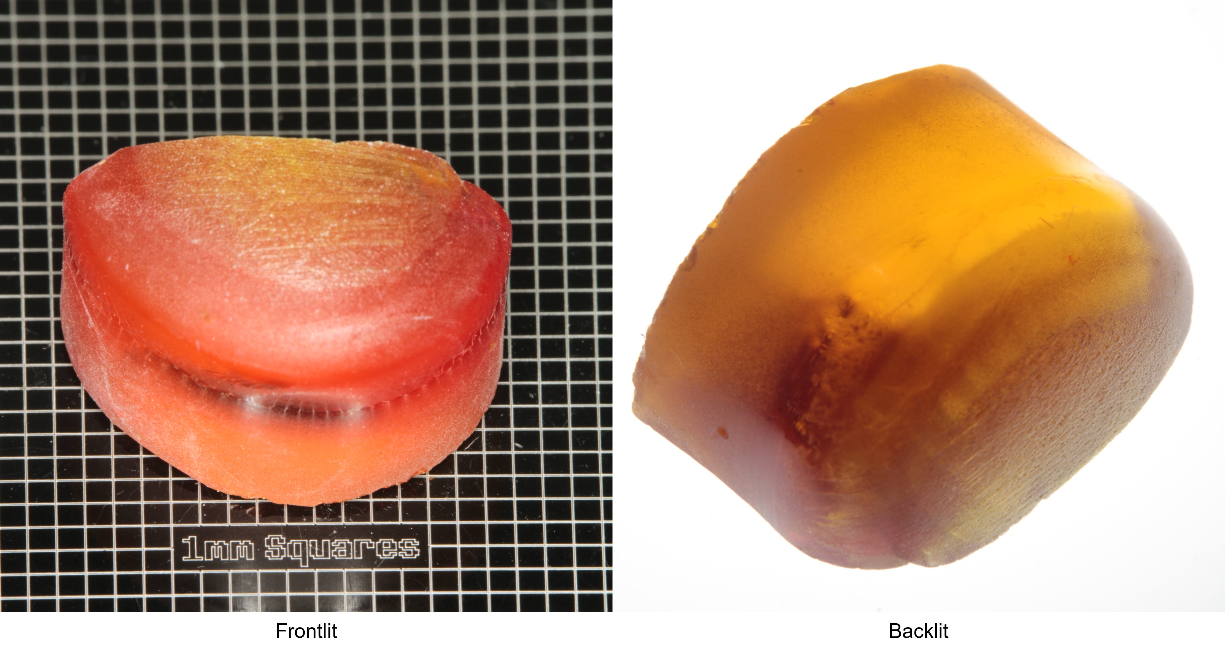 Rough Orange Flame Fusion Sapphire, Semicircle Tail Shaped Piece shown in both normal light and backlit.