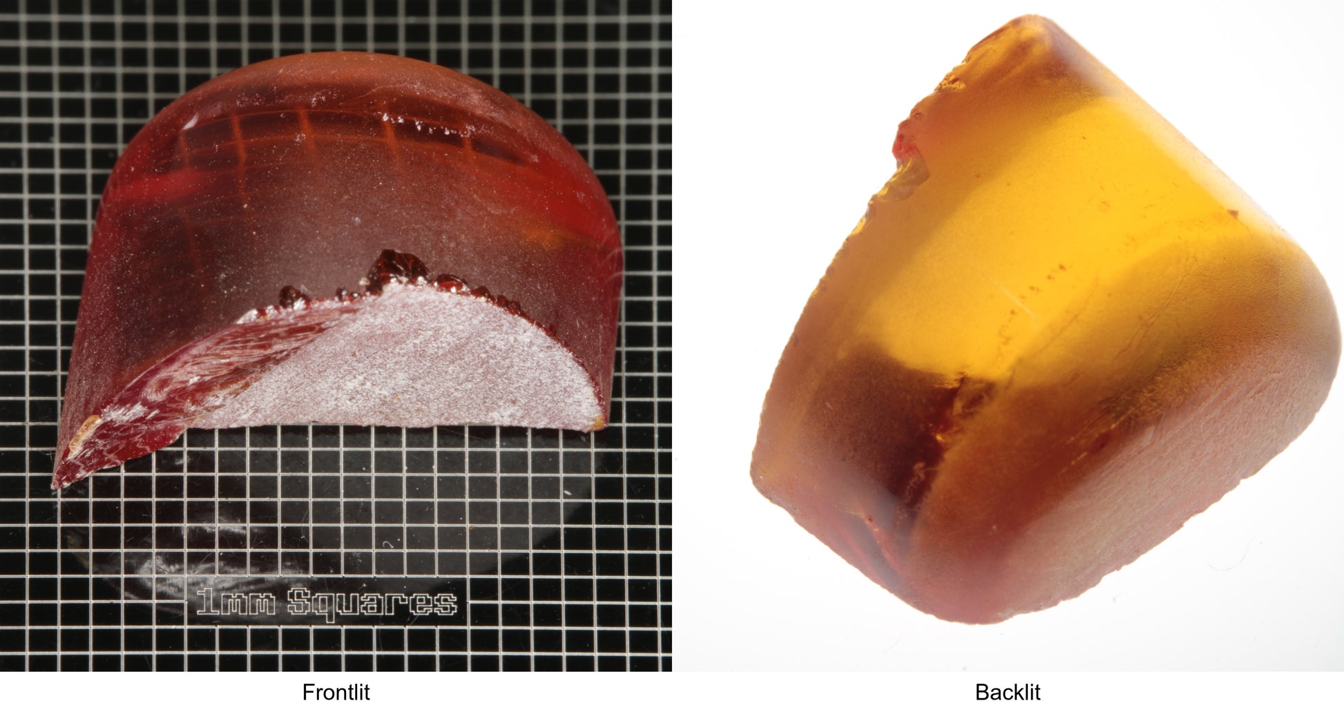 Rough Orange Flame Fusion Sapphire, Semicircle Tail Shaped Piece shown in both normal light and backlit.
