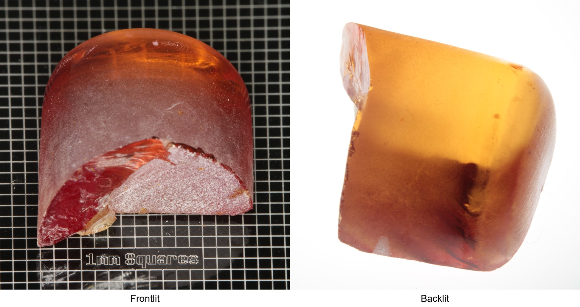 Rough Orange Flame Fusion Sapphire, Semicircle Tail Shaped Piece shown in both normal light and backlit.