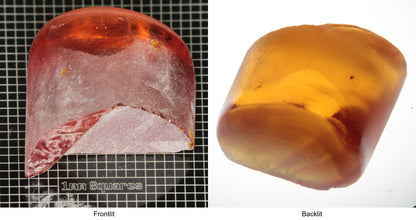 Rough Orange Flame Fusion Sapphire, Semicircle Tail Shaped Piece shown in both normal light and backlit.