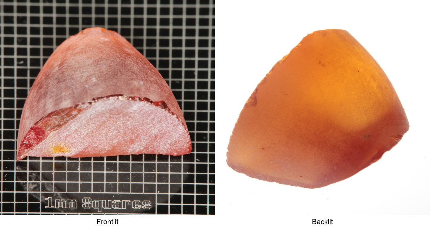 Rough Orange Flame Fusion Sapphire, Semicone Shaped Piece shown in both normal light and backlit.