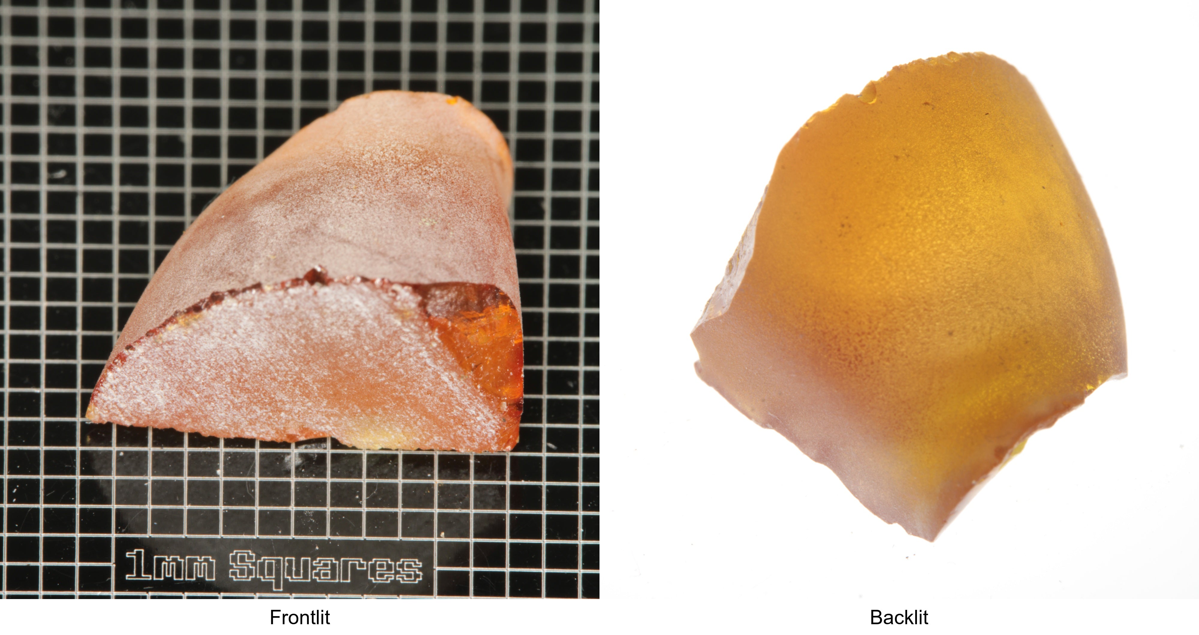 Rough Orange Flame Fusion Sapphire, Semicone Shaped Piece shown in both normal light and backlit.