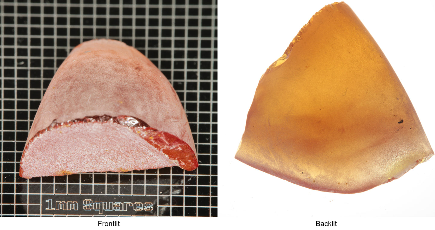 Rough Orange Flame Fusion Sapphire, Semicone Shaped Piece shown in both normal light and backlit.