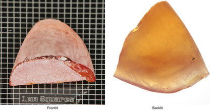 Rough Orange Flame Fusion Sapphire, Semicone Shaped Piece shown in both normal light and backlit.