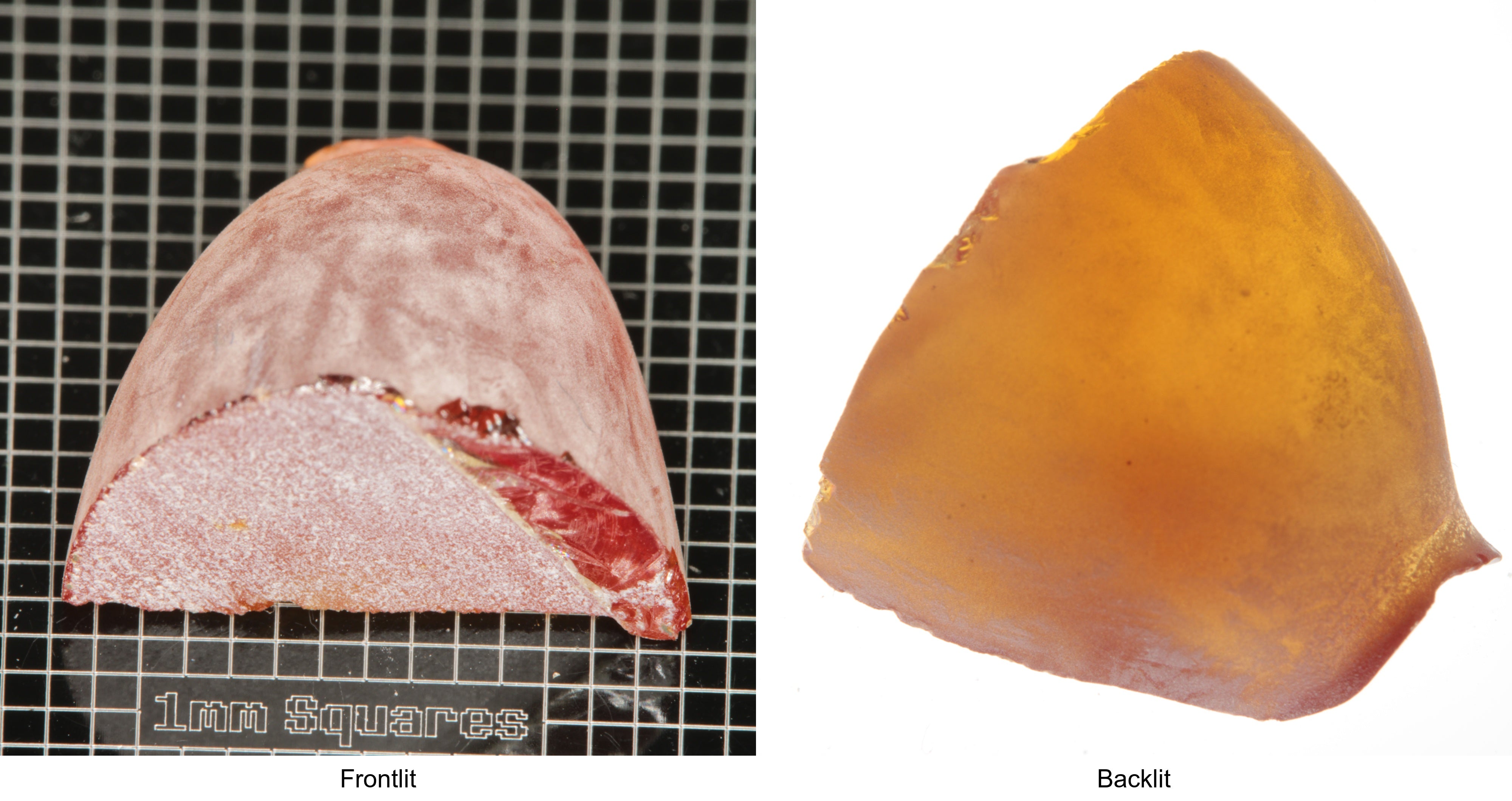 Rough Orange Flame Fusion Sapphire, Semicone Shaped Piece shown in both normal light and backlit.