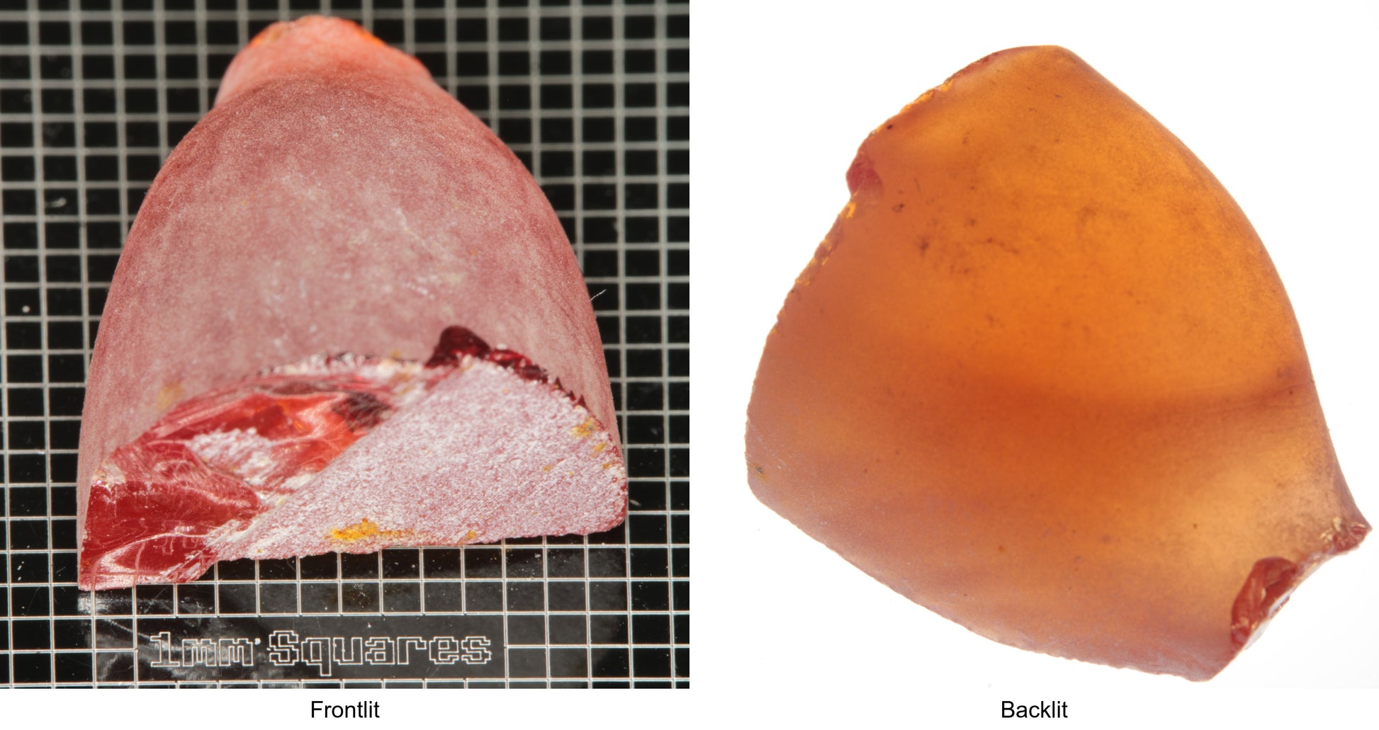 Rough Orange Flame Fusion Sapphire, Semicone Shaped Piece shown in both normal light and backlit.