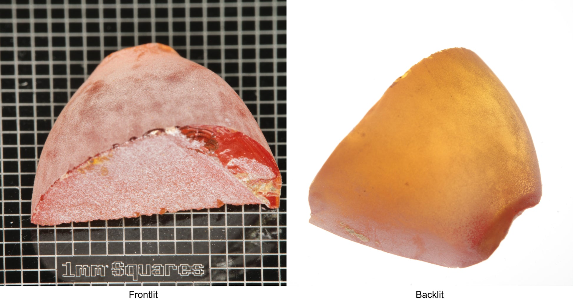 Rough Orange Flame Fusion Sapphire, Semicone Shaped Piece shown in both normal light and backlit.