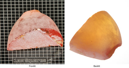 Rough Orange Flame Fusion Sapphire, Semicone Shaped Piece shown in both normal light and backlit.