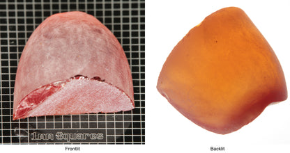 Rough Orange Flame Fusion Sapphire, Semicone Shaped Piece shown in both normal light and backlit.