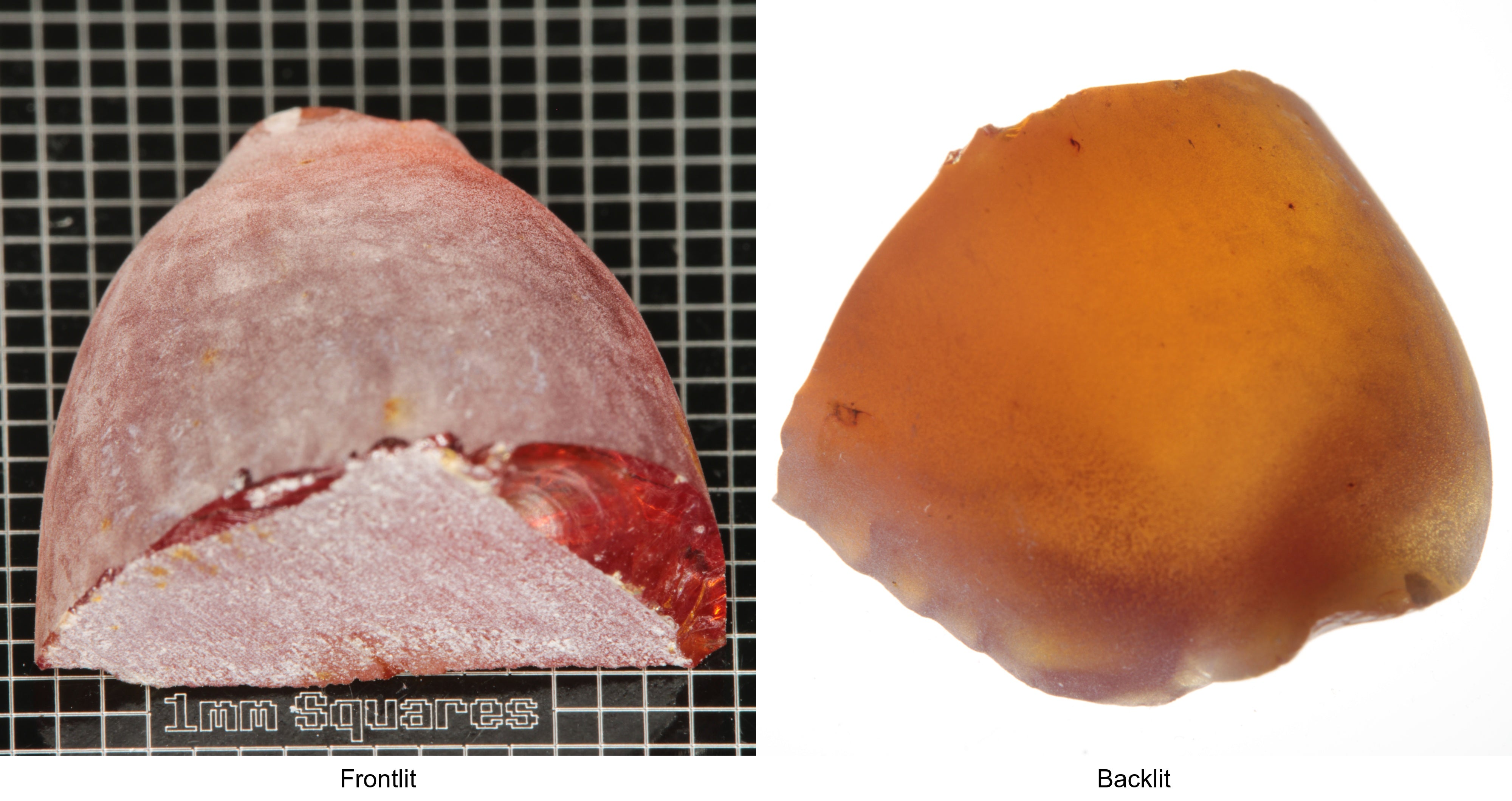 Rough Orange Flame Fusion Sapphire, Semicone Shaped Piece shown in both normal light and backlit.