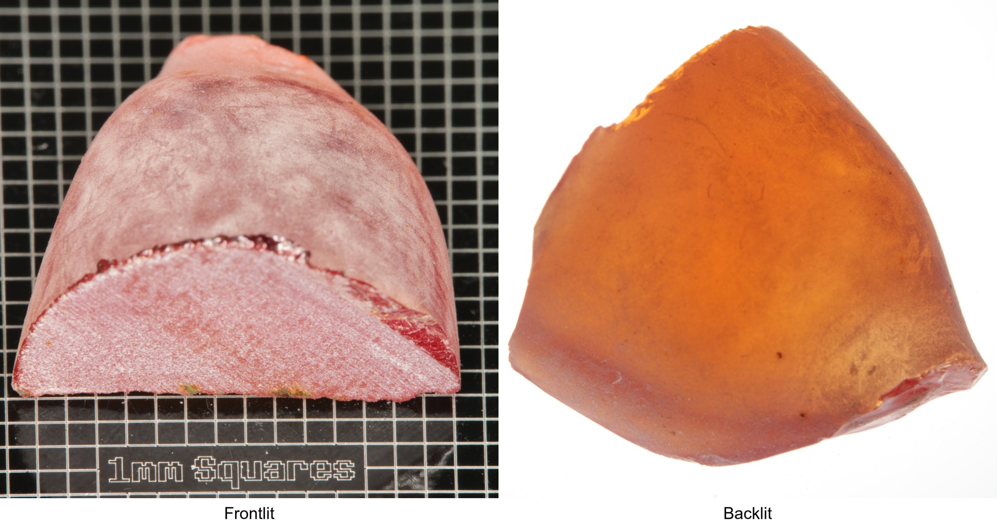 Rough Orange Flame Fusion Sapphire, Semicone Shaped Piece shown in both normal light and backlit.