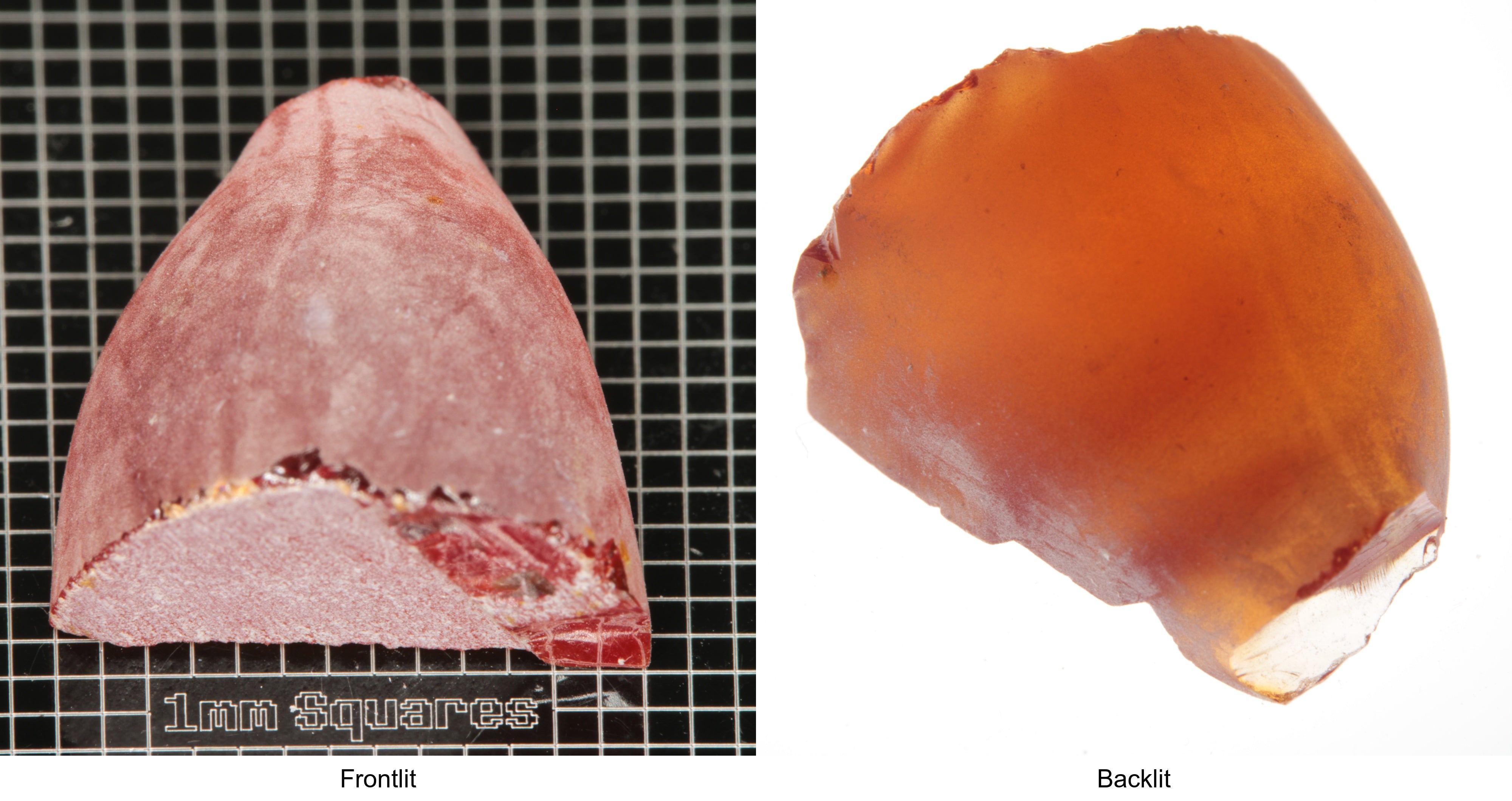 Rough Orange Flame Fusion Sapphire, Semicone Shaped Piece shown in both normal light and backlit.
